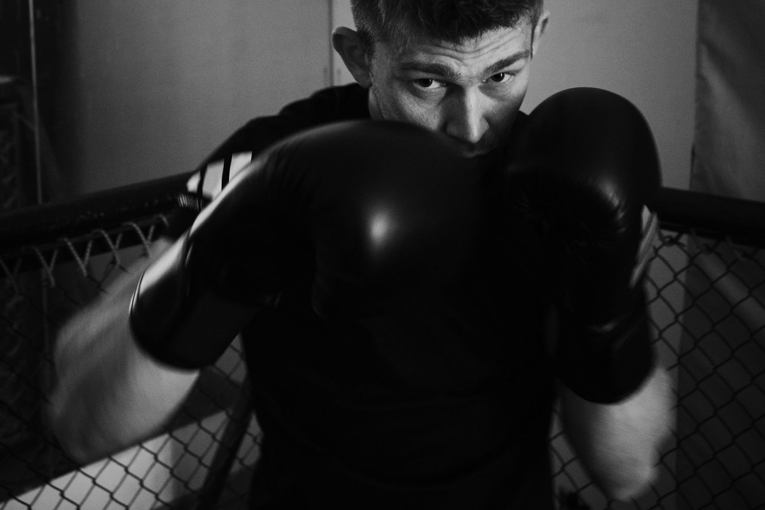 Photograph of Adidas Combat Sports by studio sale.