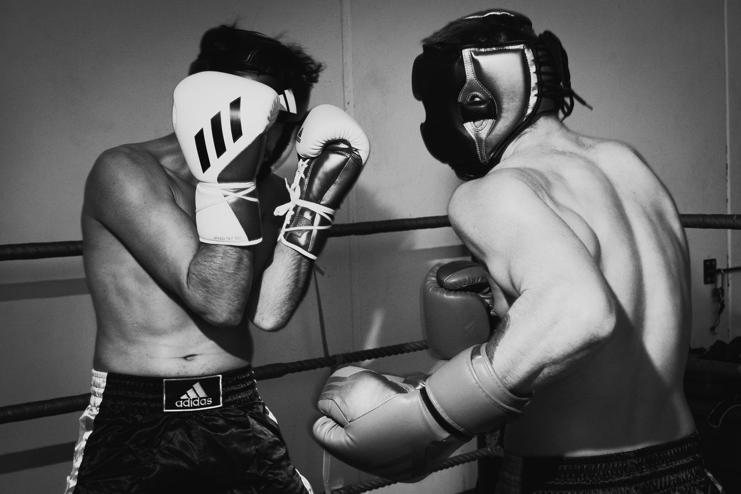 Photograph of Adidas Combat Sports by studio sale.