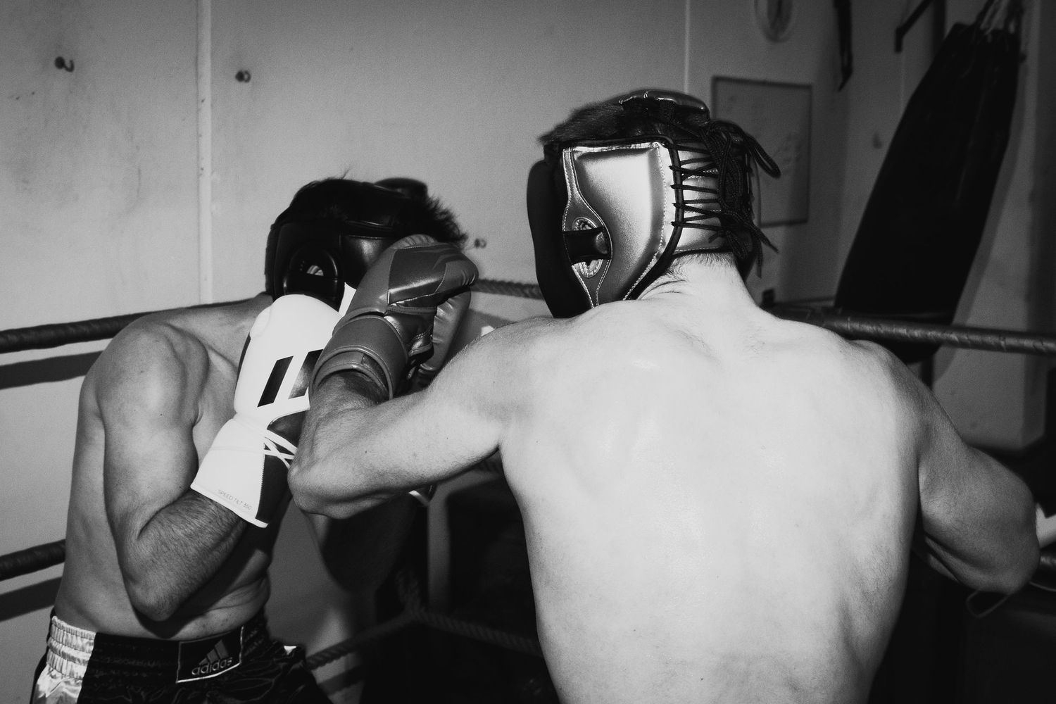 Photograph of Adidas Combat Sports by studio sale.