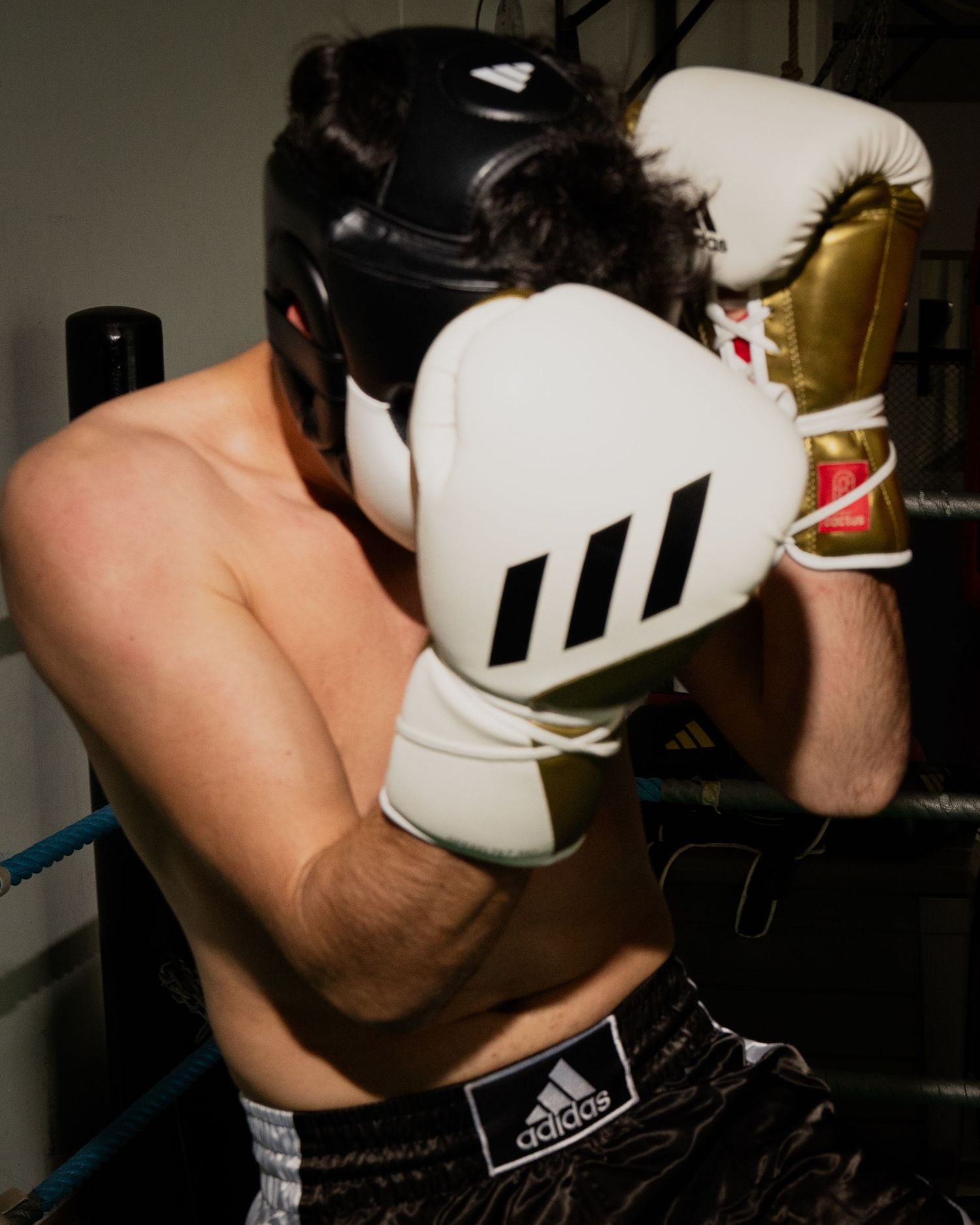 Photograph of Adidas Combat Sports by studio sale.