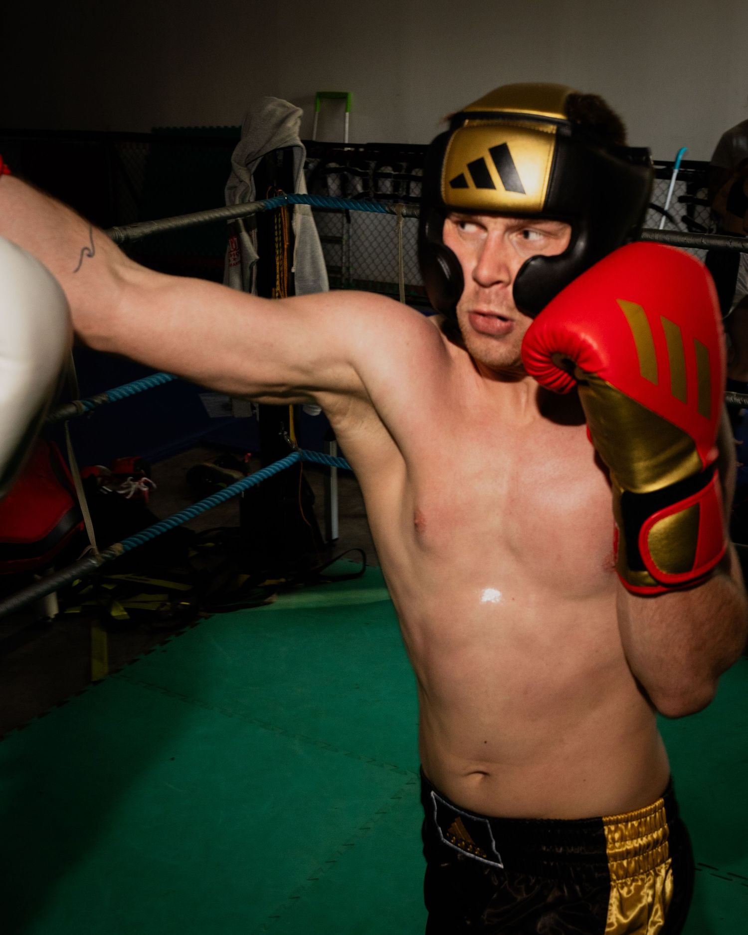 Photograph of Adidas Combat Sports by studio sale.