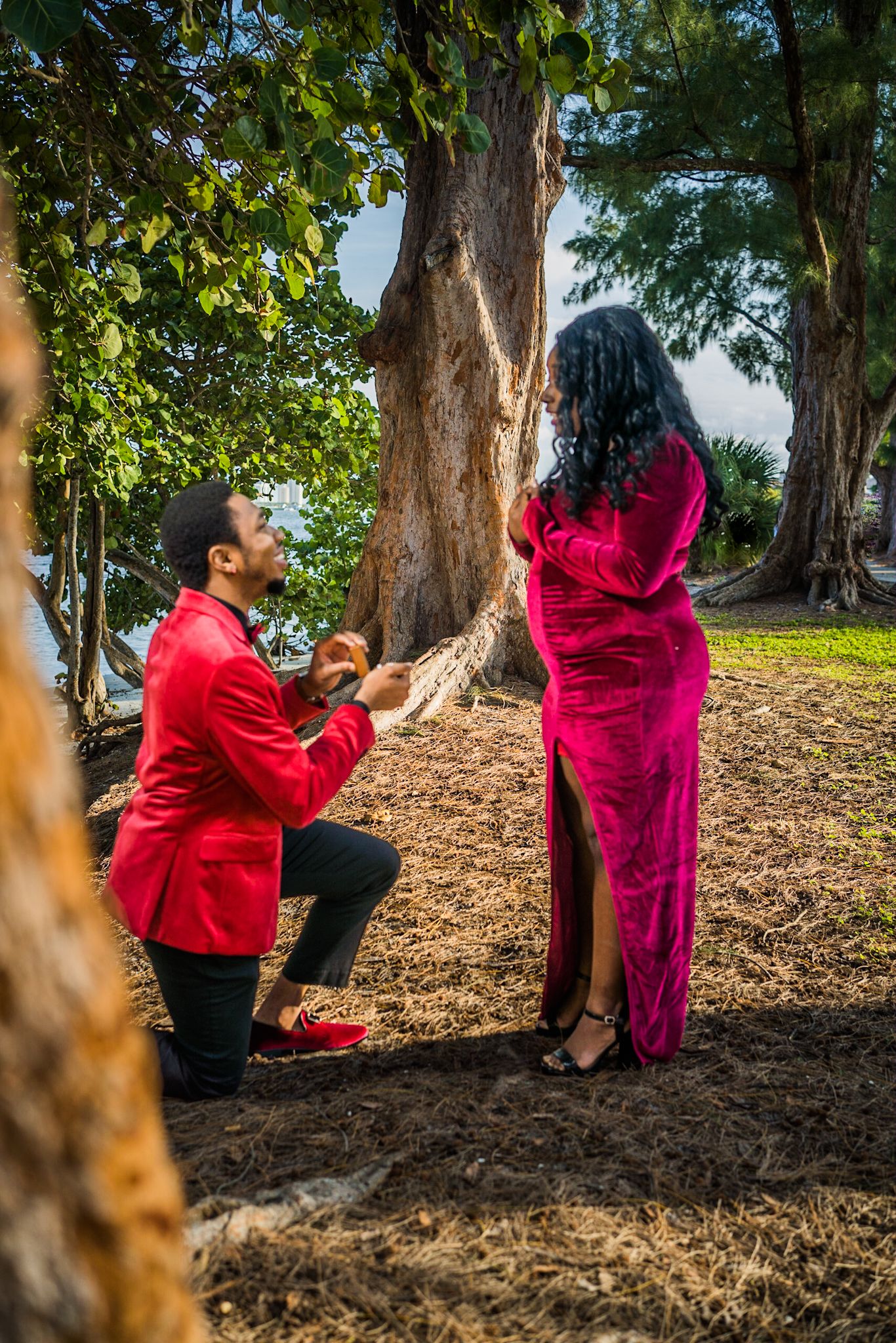 Engagement photo of black couple proposing. Man in velvet red Jacket and black pants, woman in velvet red dress in the woods bold green tre