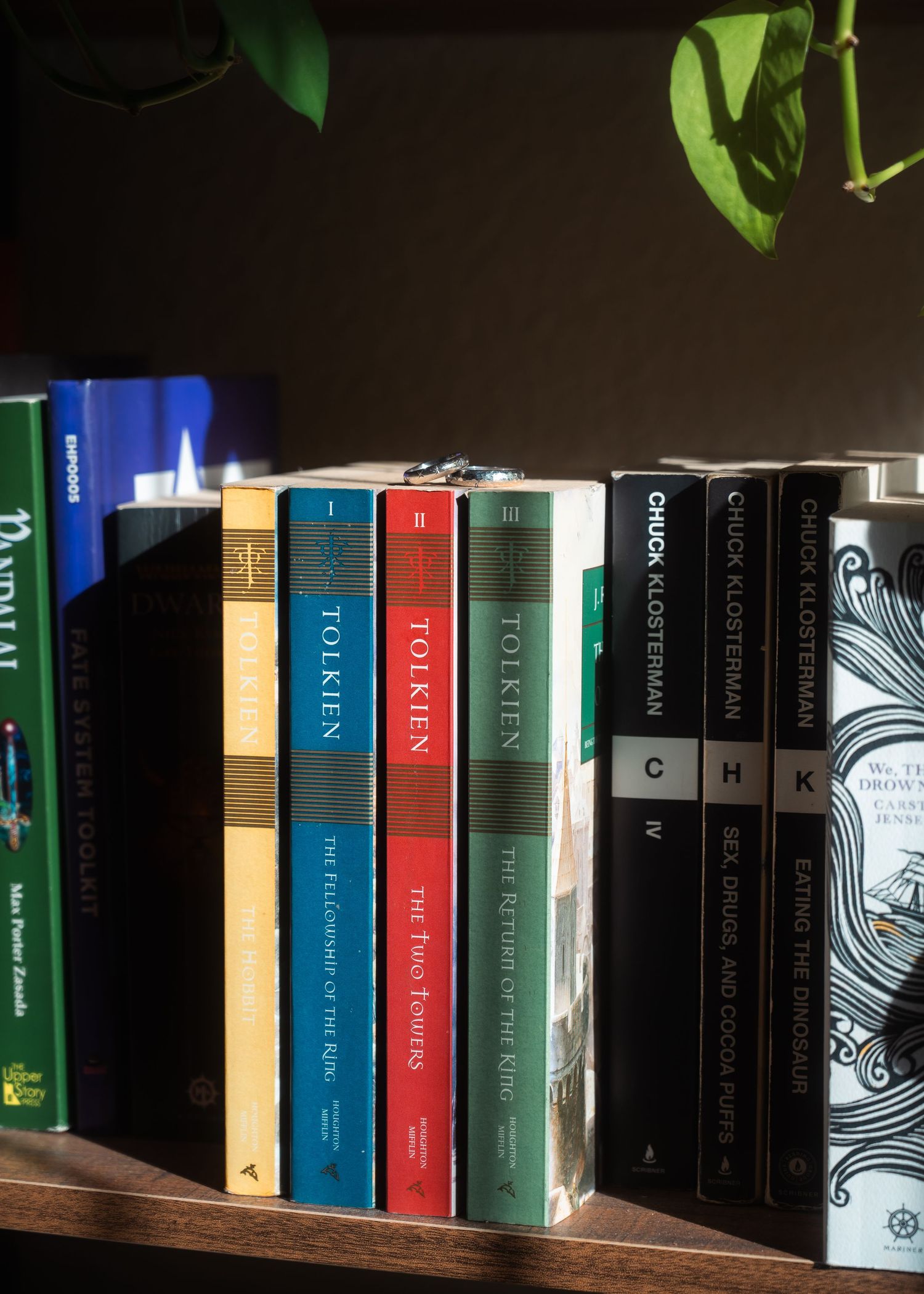 Bookshelf with Tolkien trilogy and Chuck Klosterman books displayed in warm sunlight near a green plant with wedding rings on top