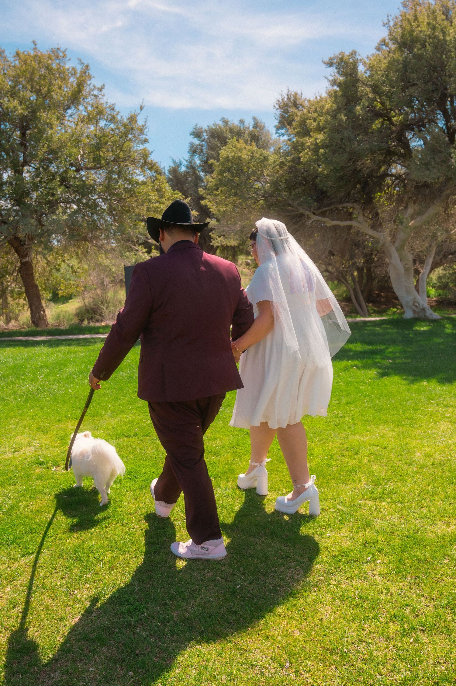 Bride and groom walking a white dog on green grass, man in burgundy suit and black hat, woman in white wedding dress and veil