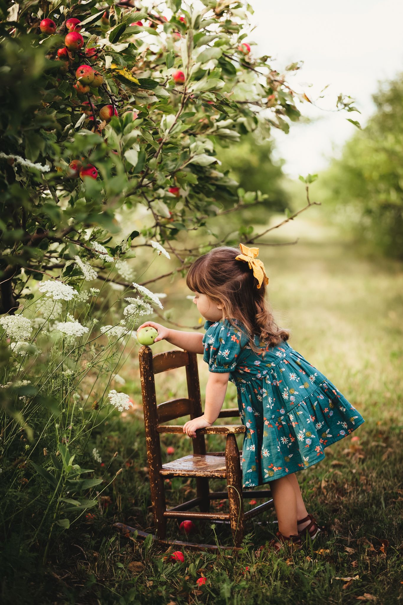 A rustic outdoor scene with an old wooden chair among fruit trees and wildflowers.