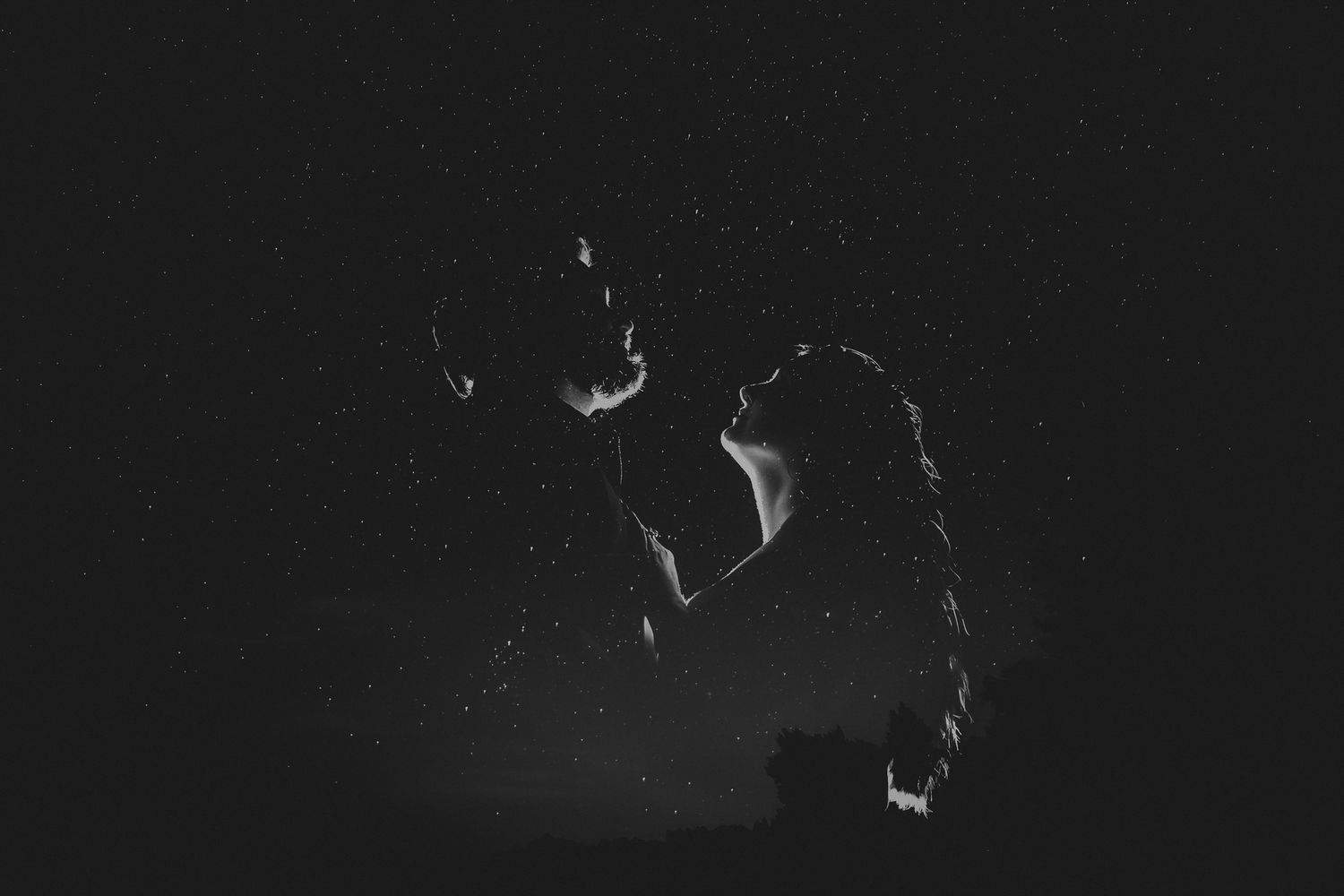 Dark atmospheric silhouettes create a moody nighttime scene.