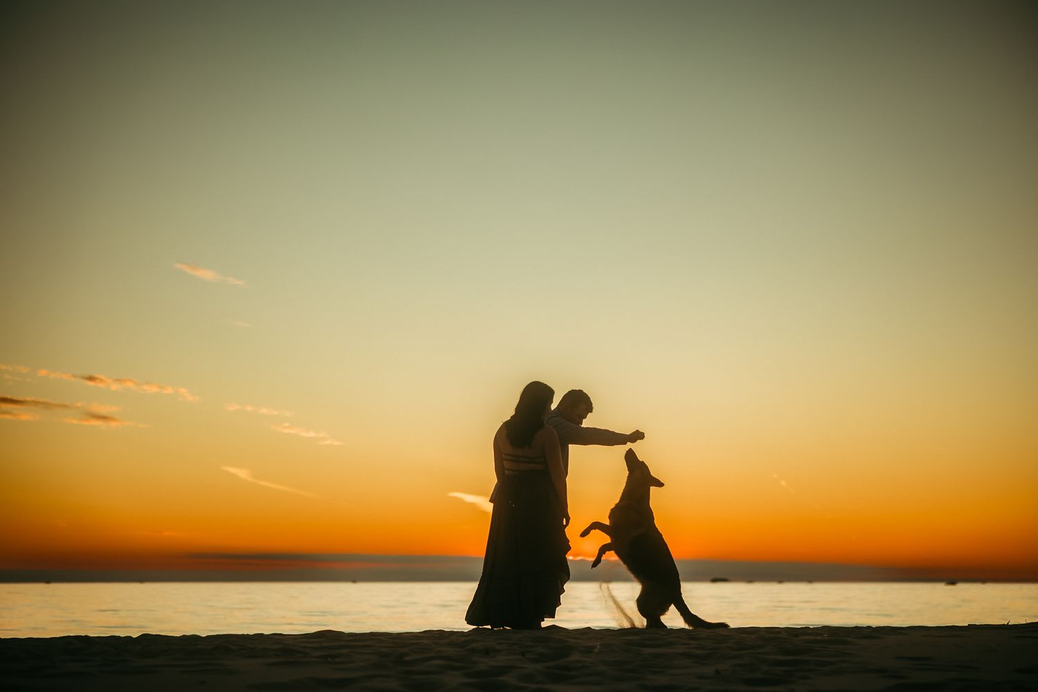 A silhouetted figure and dog watch a vibrant orange sunset over a calm ocean horizon.