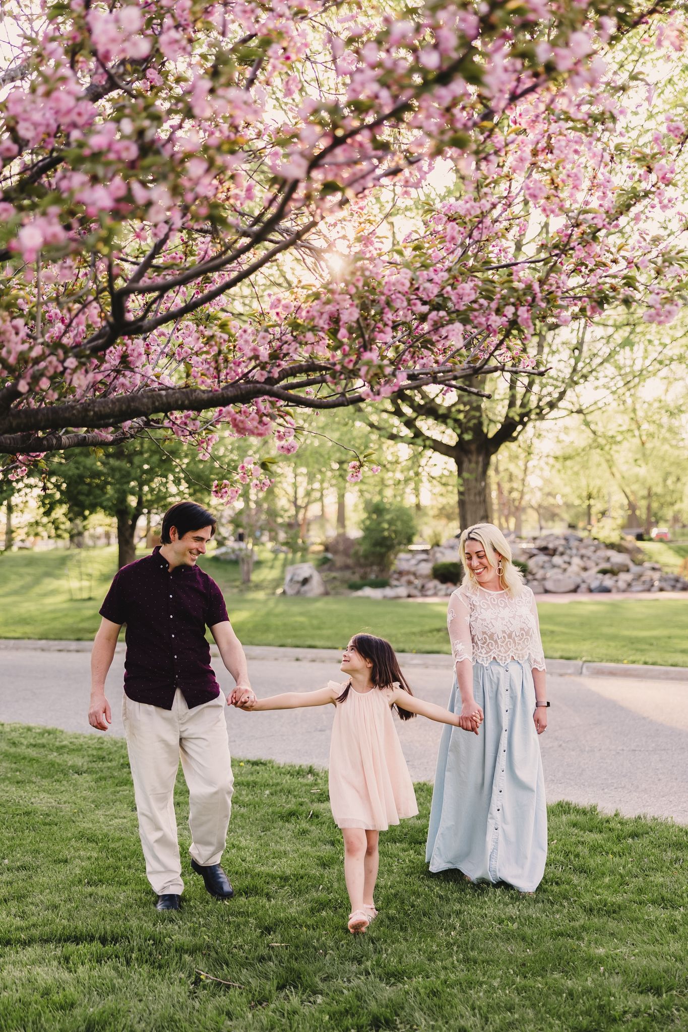 People walking under beautiful pink cherry blossom trees in a spring garden setting.