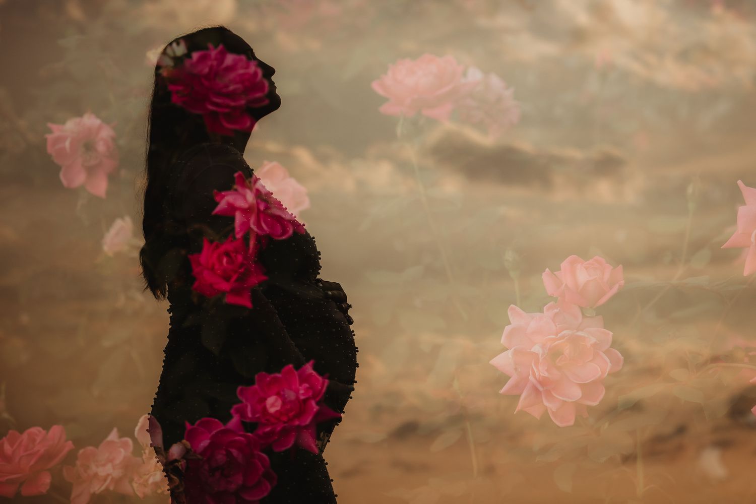 A panoramic view of dark storm clouds in the sky with pink roses silhouetted against the moody backdrop.