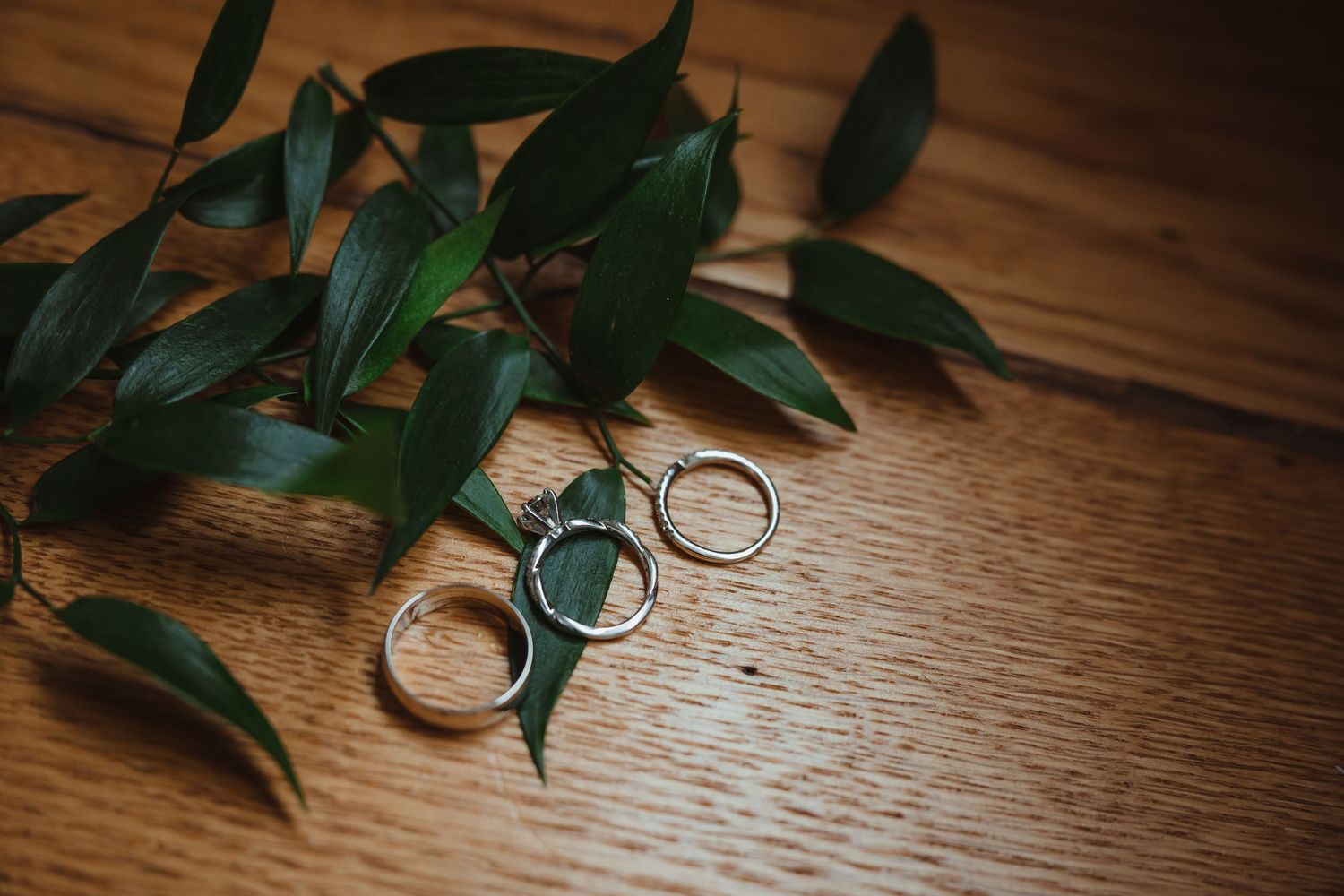 Wedding rings rest on a rustic wooden surface with green ivy leaves creating an elegant composition.