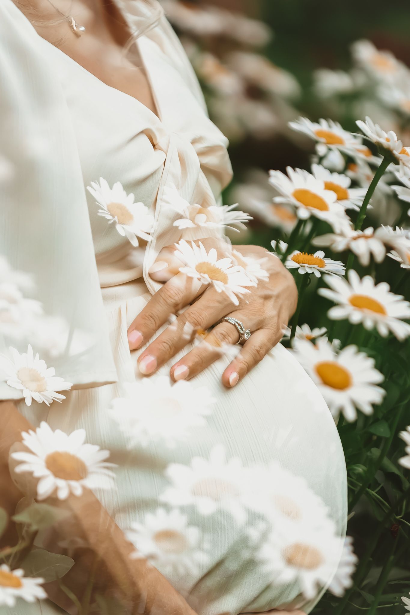 Close-up of hands with wedding rings among blooming white daisies in a garden setting.