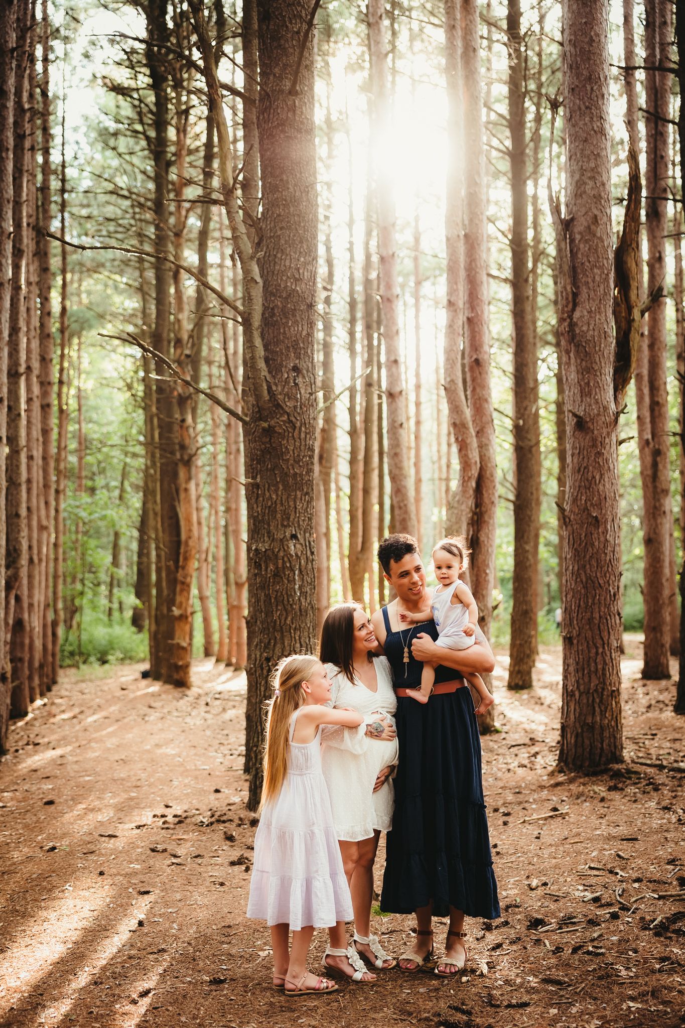 A magical sunlit forest scene with tall pine trees and dappled light streaming through.