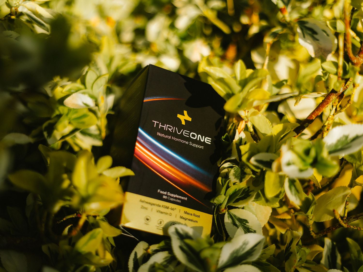 Closeup of gold-colored jewelry packaging boxes with brand names against a blurred green leafy background.