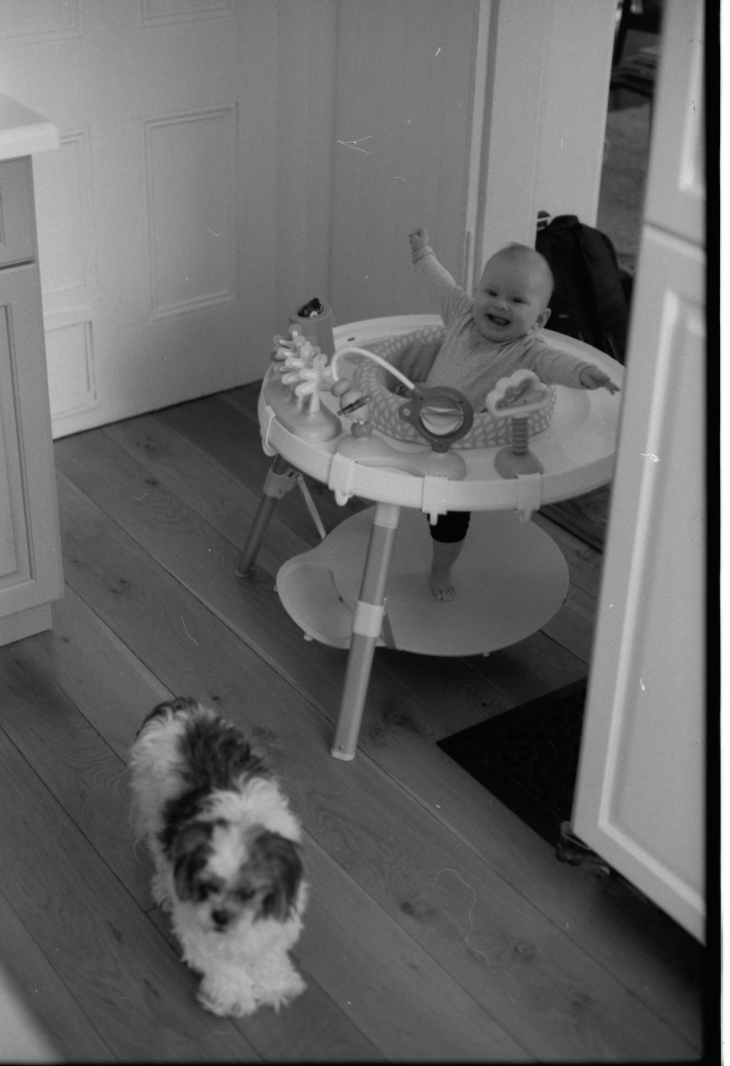 Black and white photograph of a child at home with their dog.