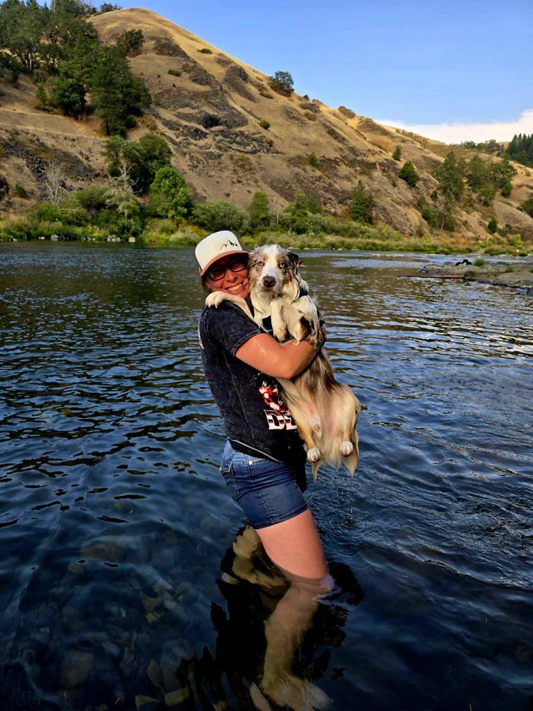 A dog being carried through shallow water near a scenic hillside on a sunny summer day.