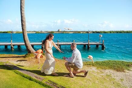 Man proposing to woman in wedding attire by tropical waterfront pier on a sunny day.