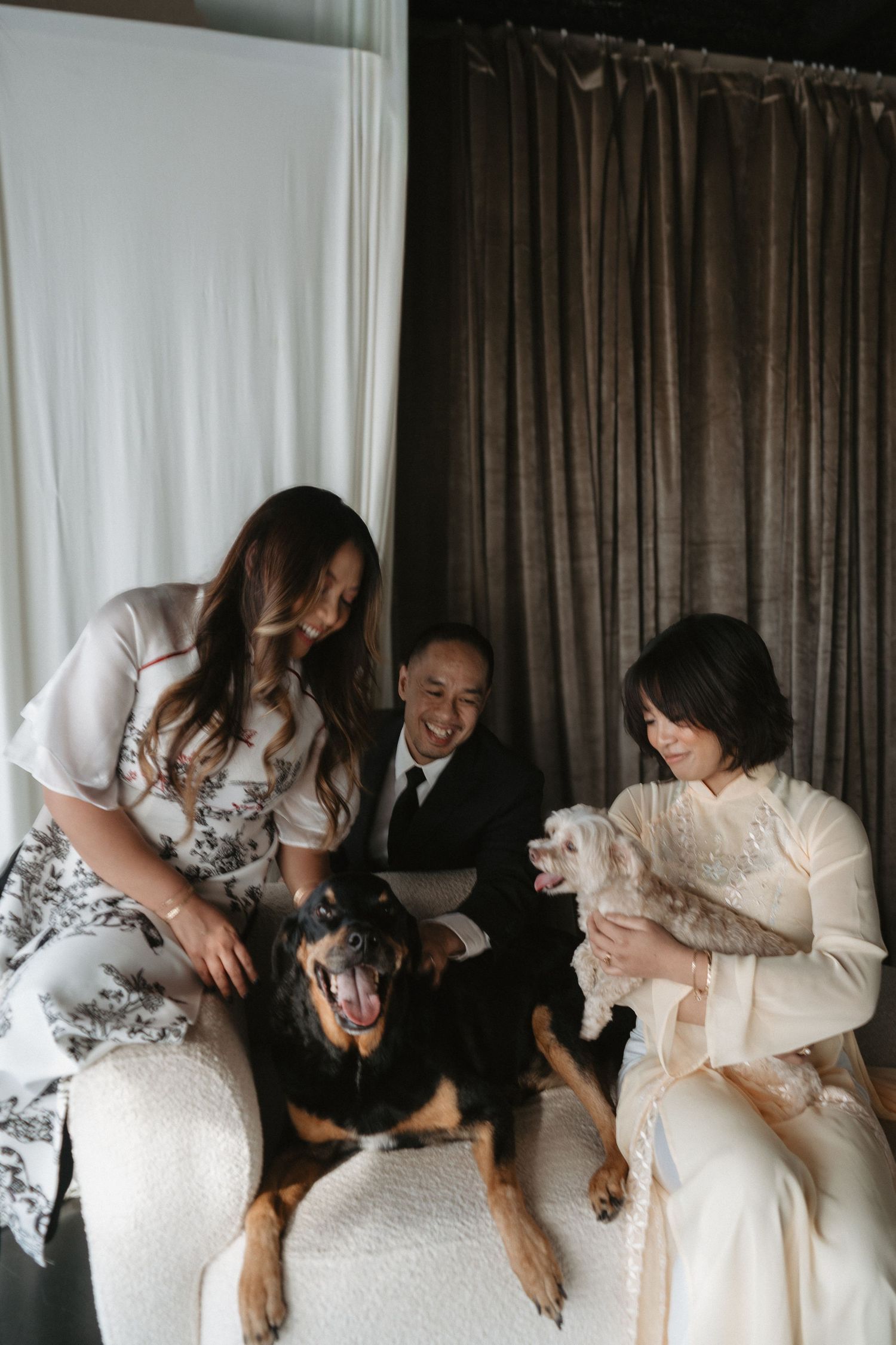 A laughing Rottweiler poses with a bride, groom, and bridesmaid holding a small white dog indoors.