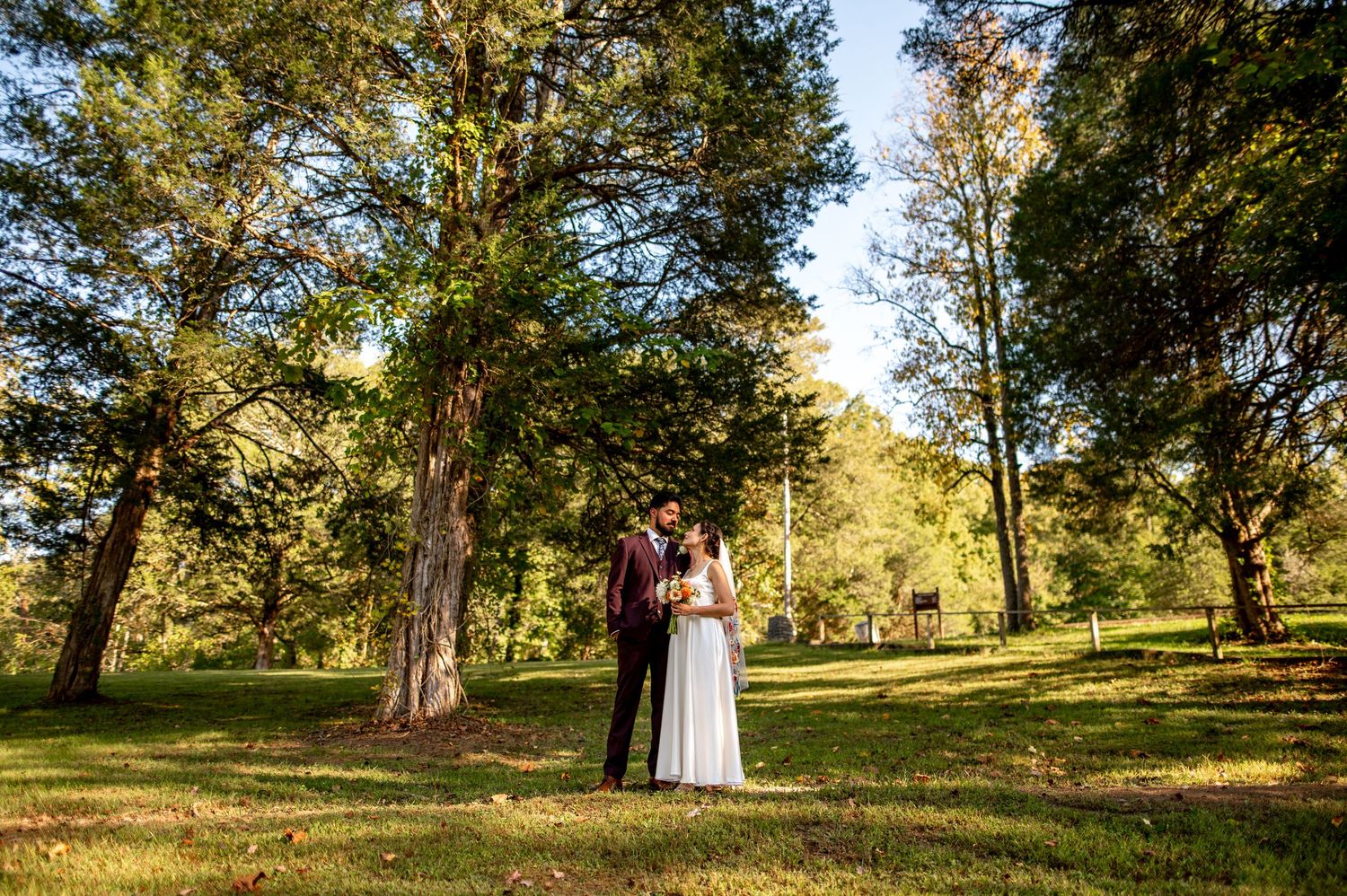 A couple shares a romantic moment in a sunlit garden setting with tall trees creating a natural backdrop. Knoxville Wedding Photographer