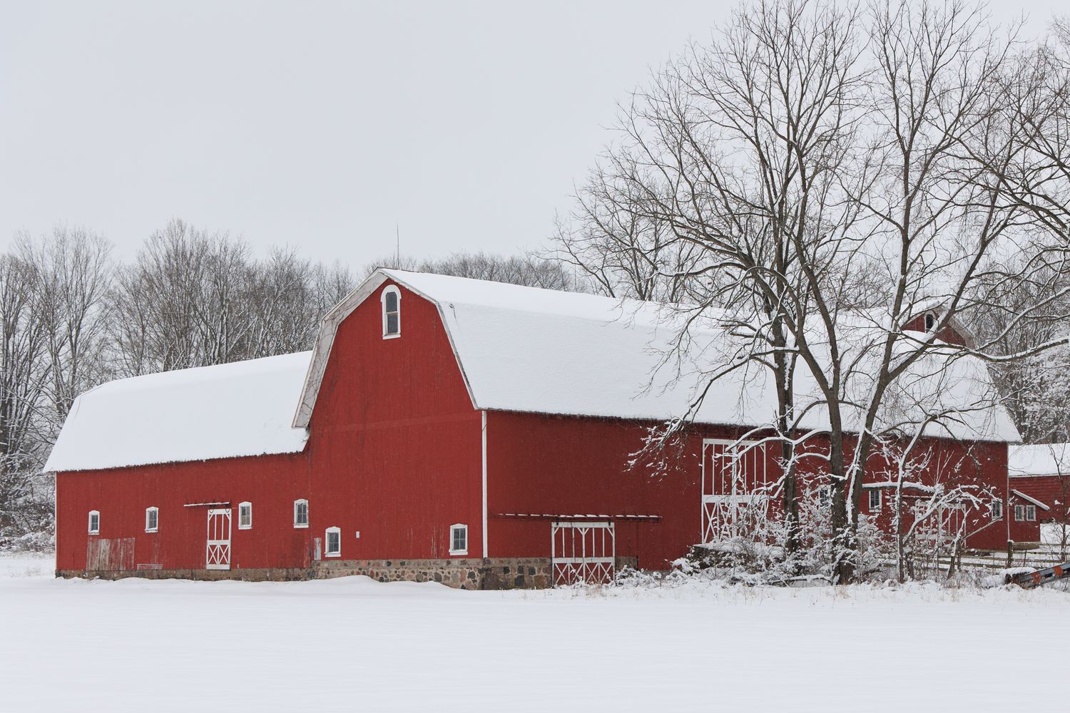 Red barns in snowy rural winter setting outside Manchester, Michigan.