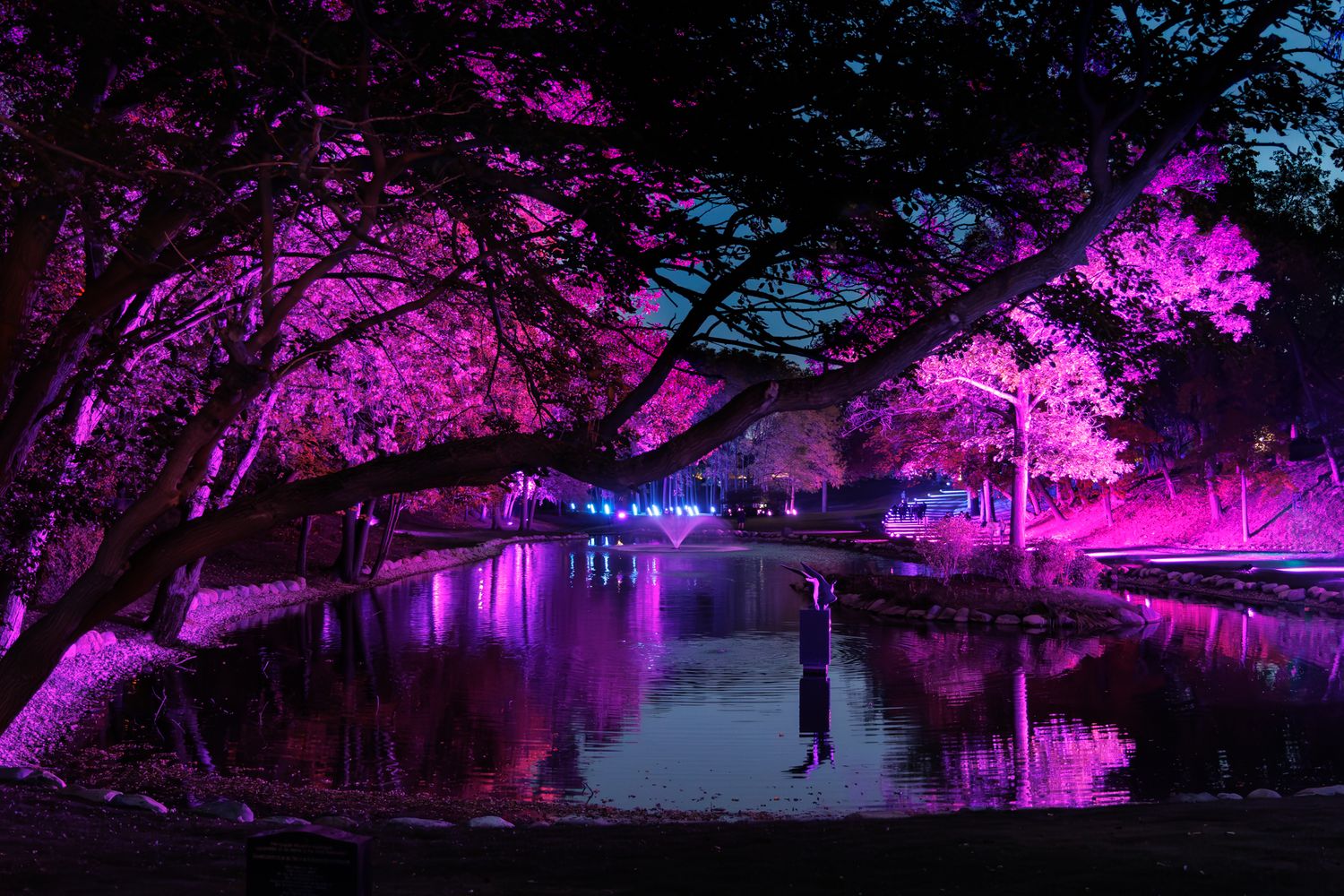 Trees bathed in pink and purple light creates an ethereal atmosphere along a waterfront path at the Elmwood cemetery in Detroit, Michigan.
