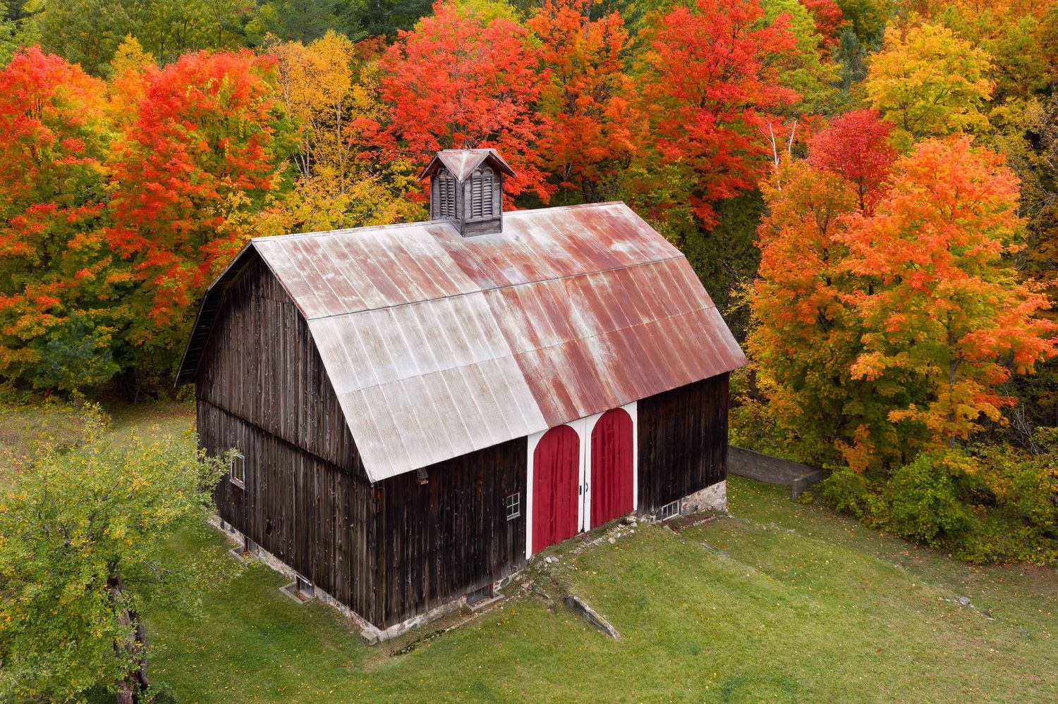 An old rustic barn with weathered wood and a red door surrounded by brilliant fall foliage in Michigan.