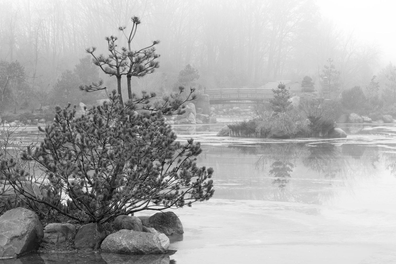 Foggy winter landscape showing a peaceful lake surrounded by trees and shoreline at the Frederick Meijer Gardens in Grand Rapids, Michigan.