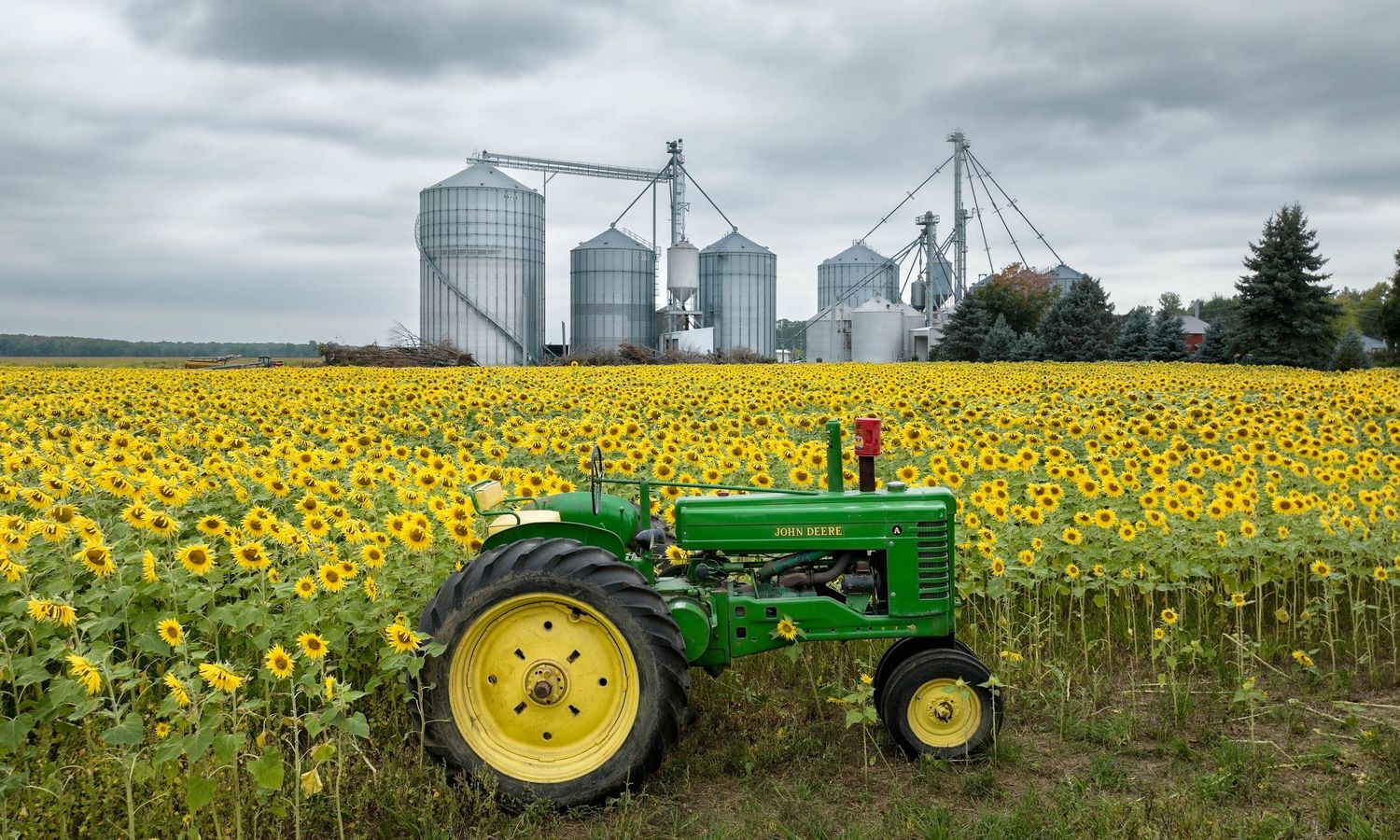 Sunflower field stretches toward grain silos with a John Deere green and yellow tractor in the foreground under a cloudy sky.