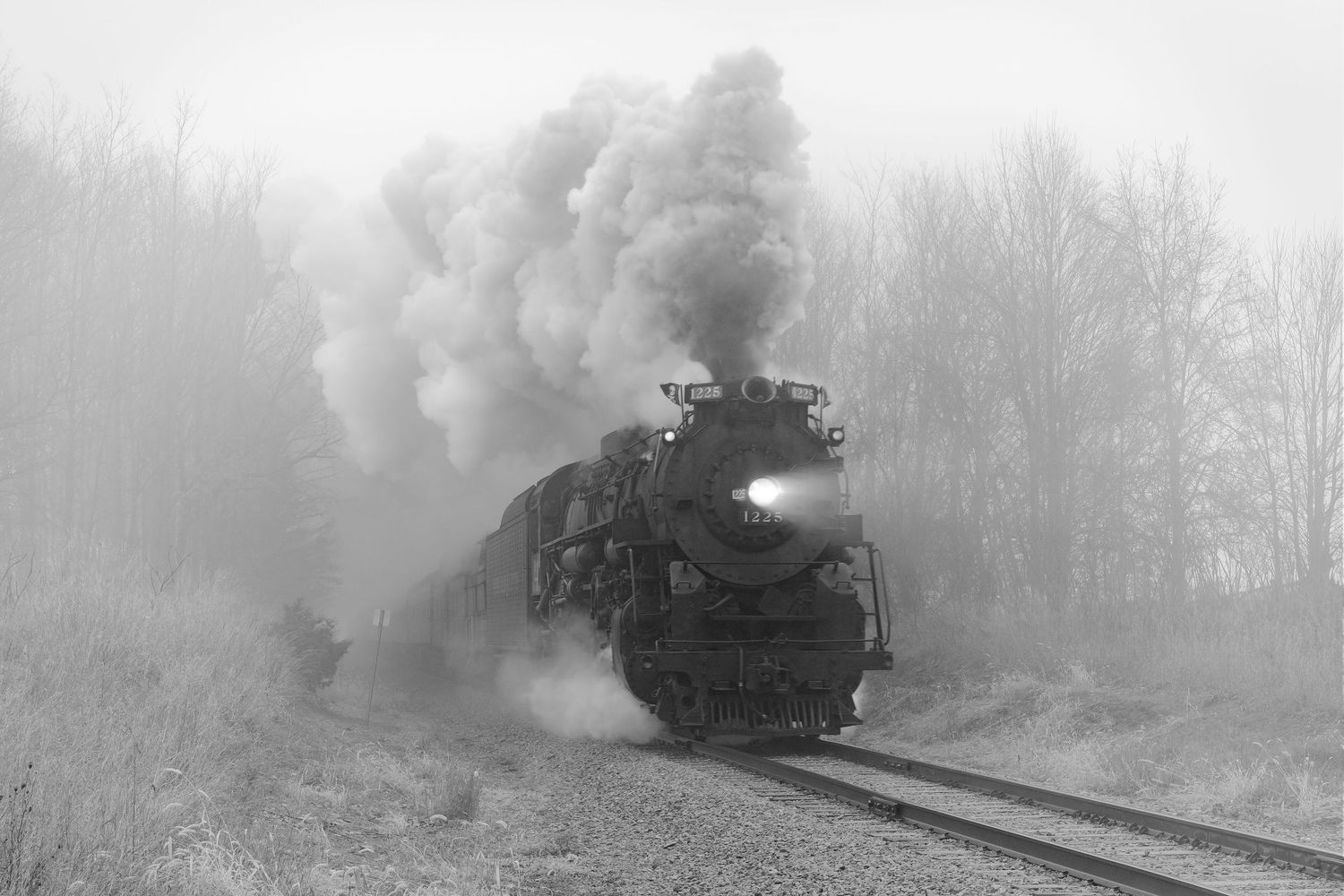 Pere Marquette 1225 steam train emerges through a foggy forest in black and white photograph with billowing steam above.