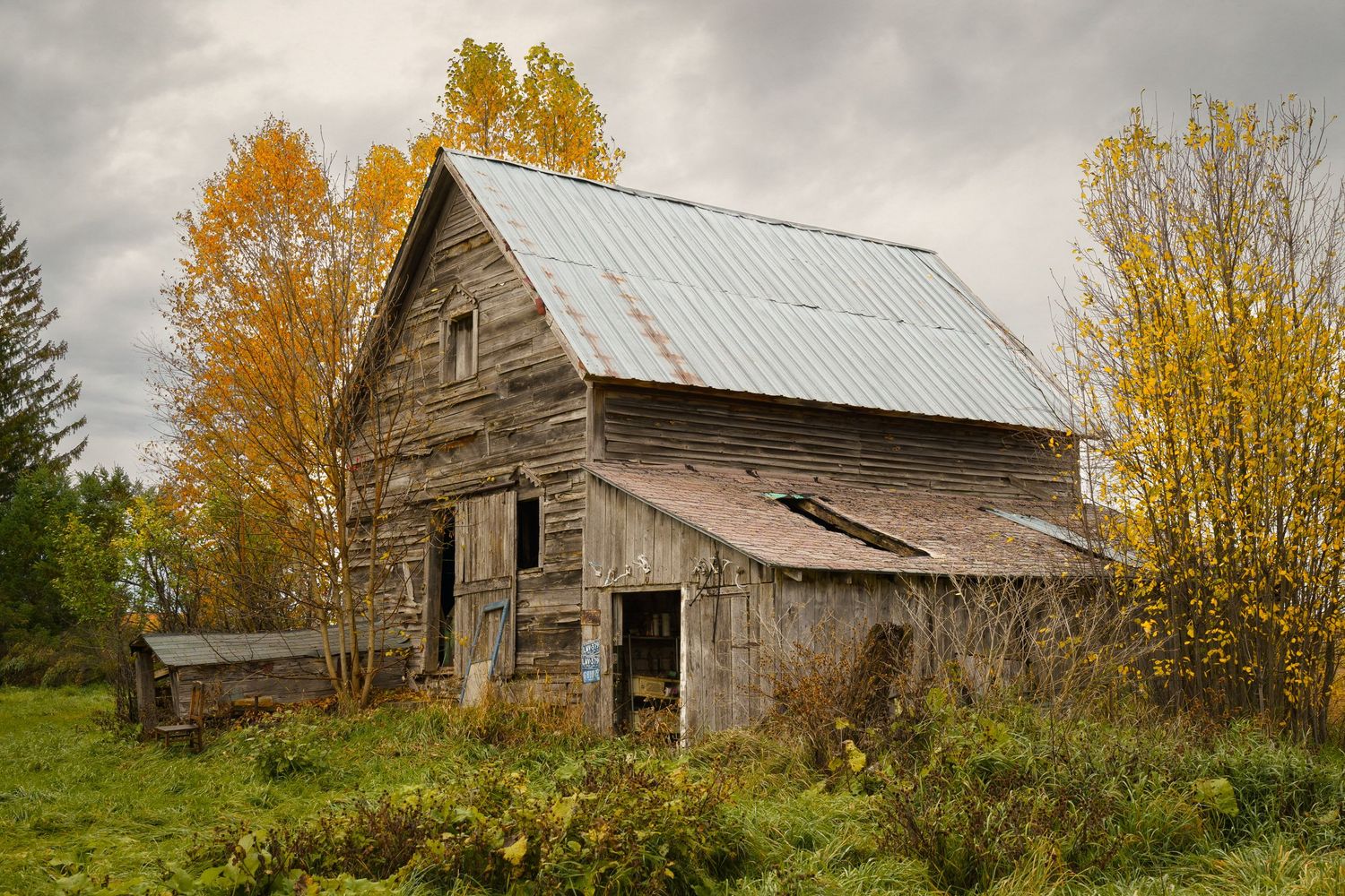 Old weathered barn with rustic wooden siding surrounded by autumn trees in Ocquenoc, Michigan.