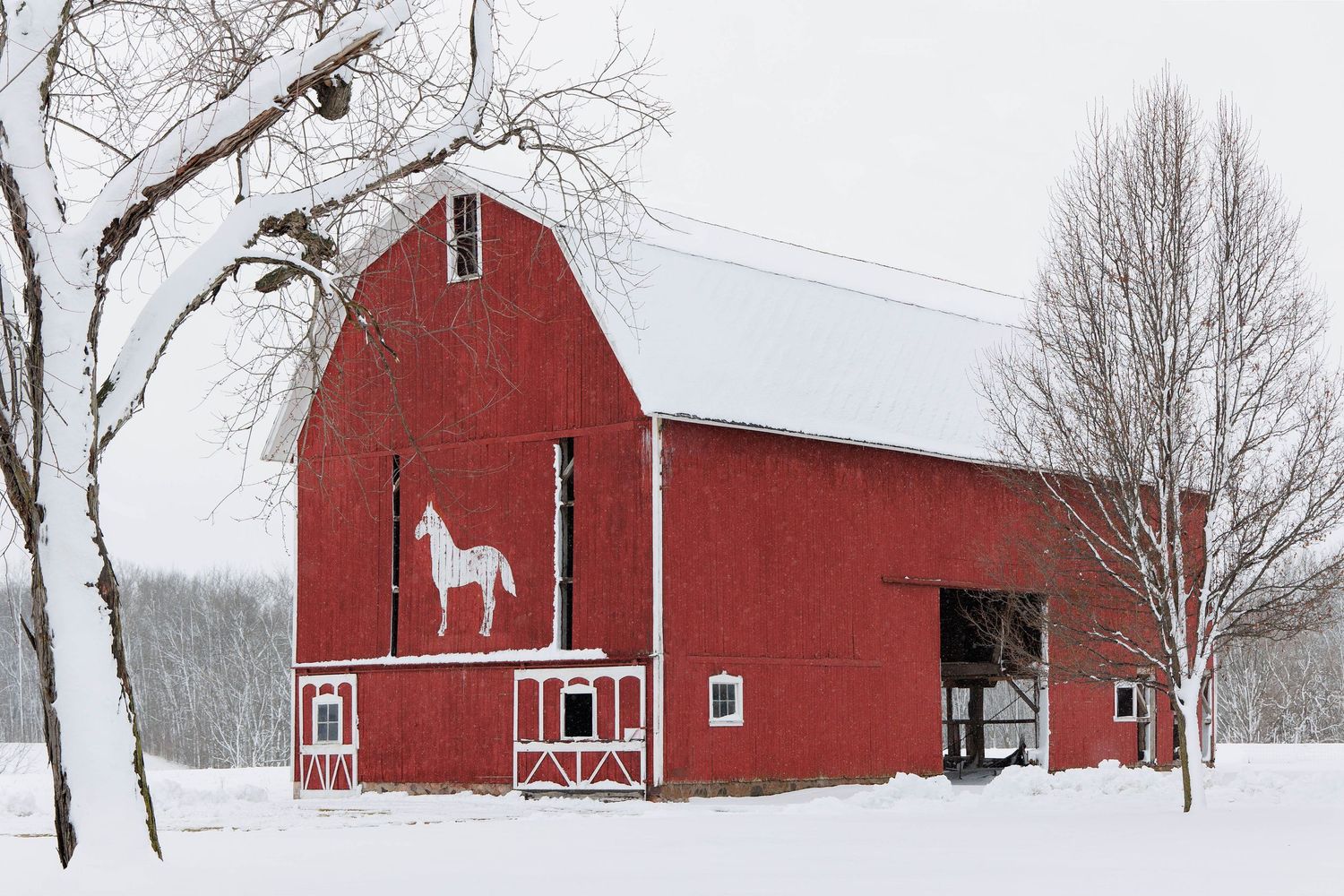 Red barn with a white horse emblem stands out against a snowy rural winter scene outside Manchester, Michigan.