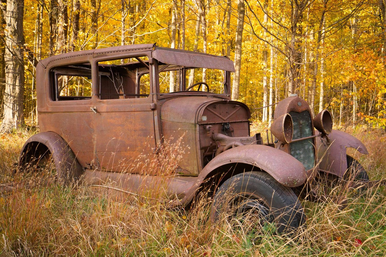 Rusty vintage Ford car abandoned among golden autumn trees in a forest setting in Michigan.