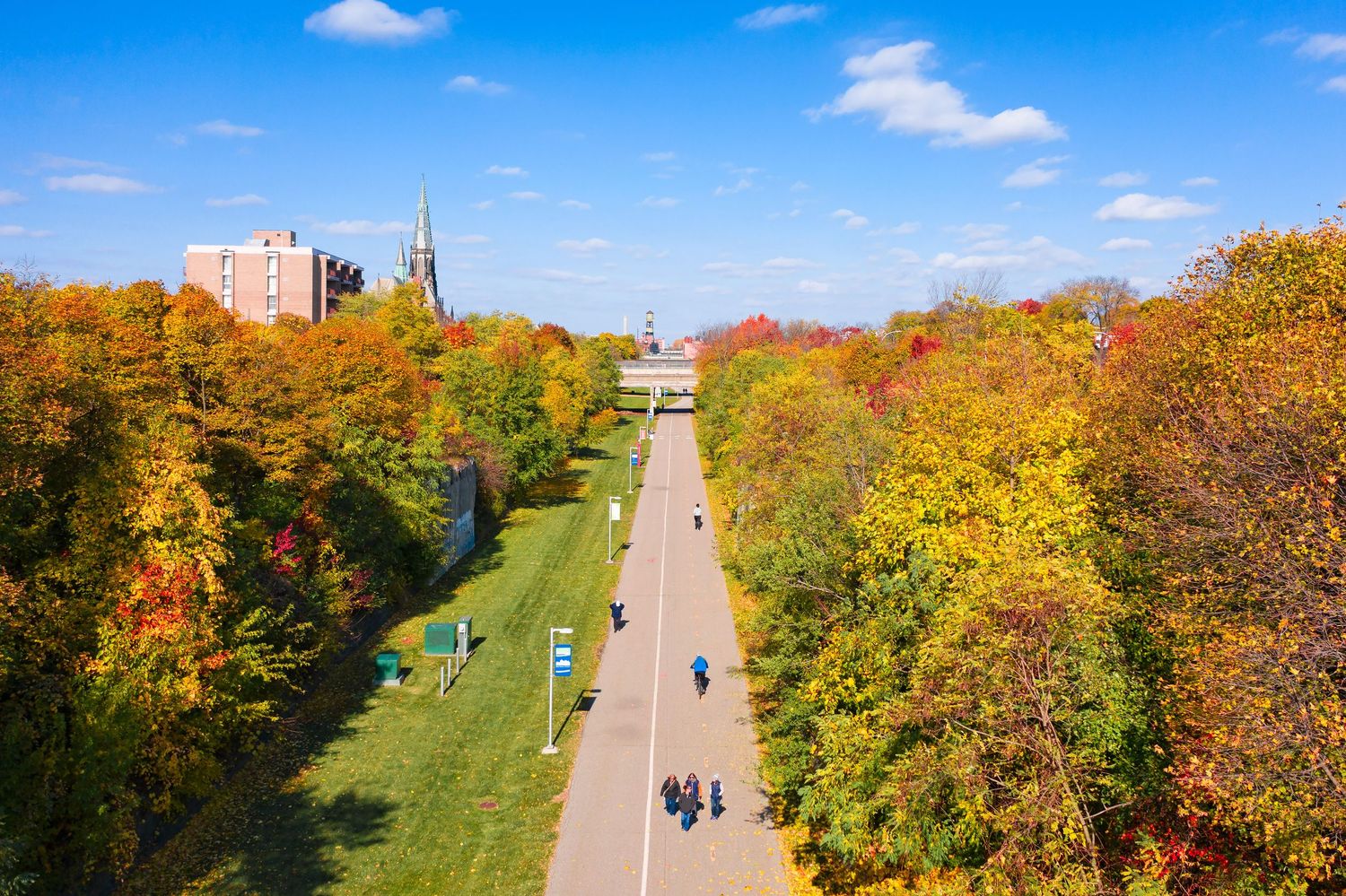 Aerial view of the Dequindre Cut greenway through golden autumn trees with urban skyline visible on the horizon.