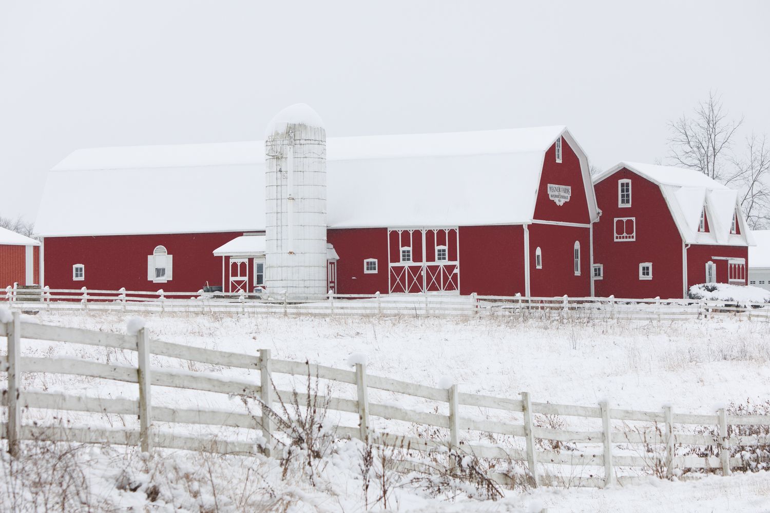 Snow covered red barns in a serene winter landscape at Wegner Farms in Manchester Michigan.