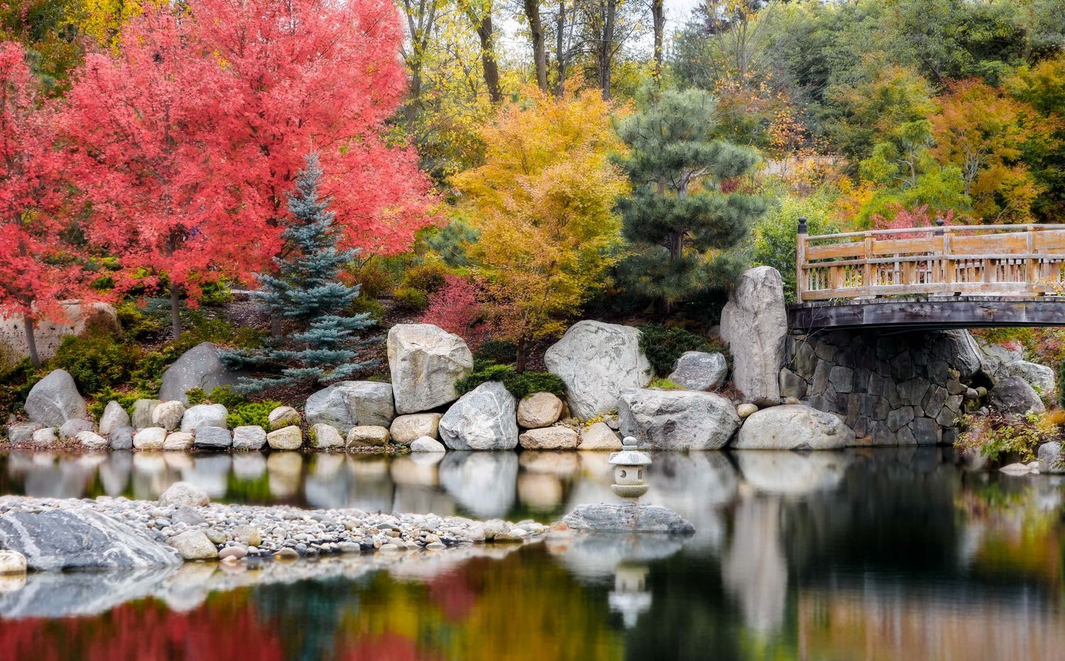 Japanese garden at Meijer Gardens with red maple trees and stone path reflecting in tranquil pond during fall.