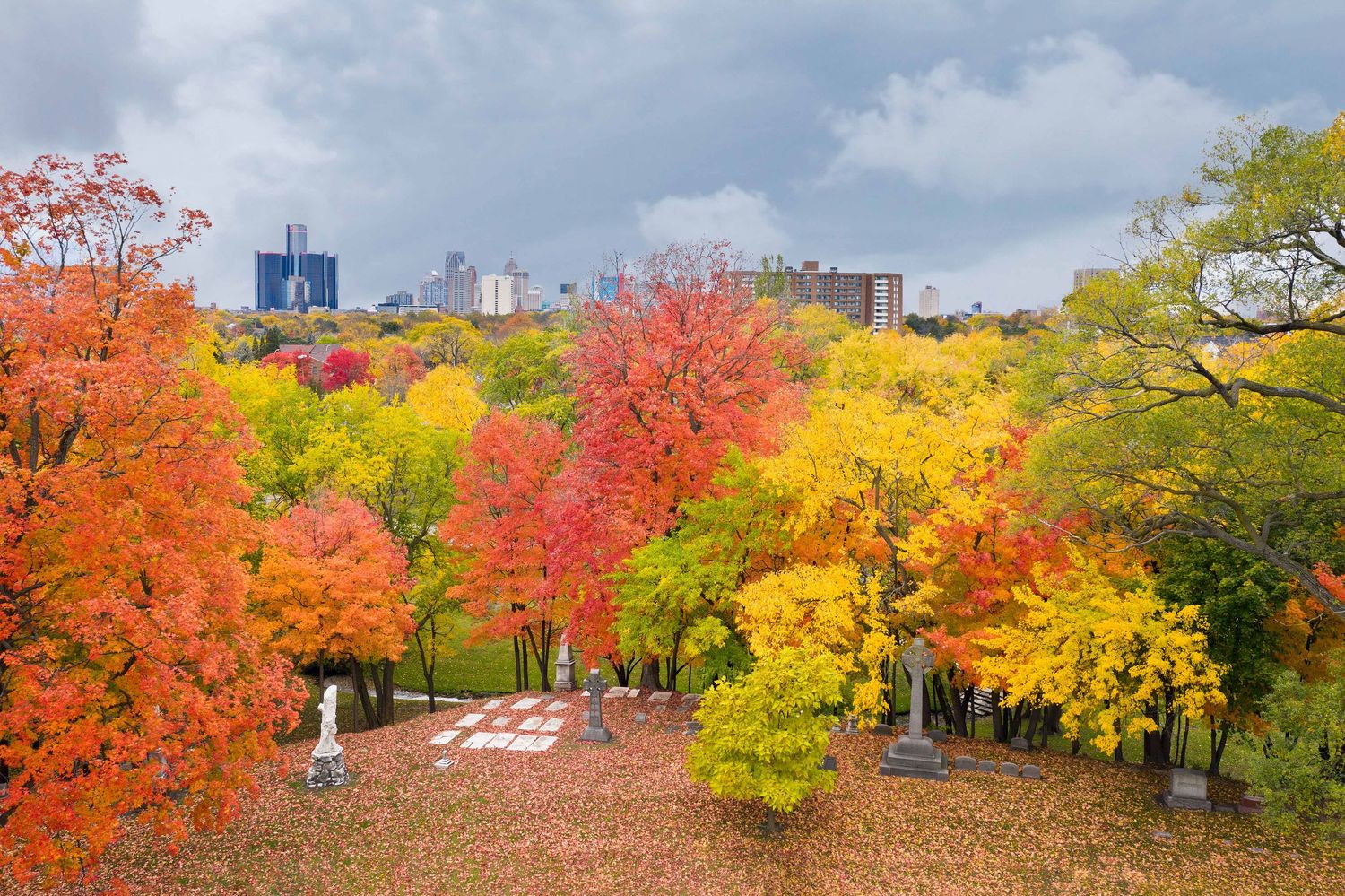 Panorama of autumn trees displaying brilliant red and yellow colors against a cloudy sky at Elmwood Cemetery in front Detroit's skyline.