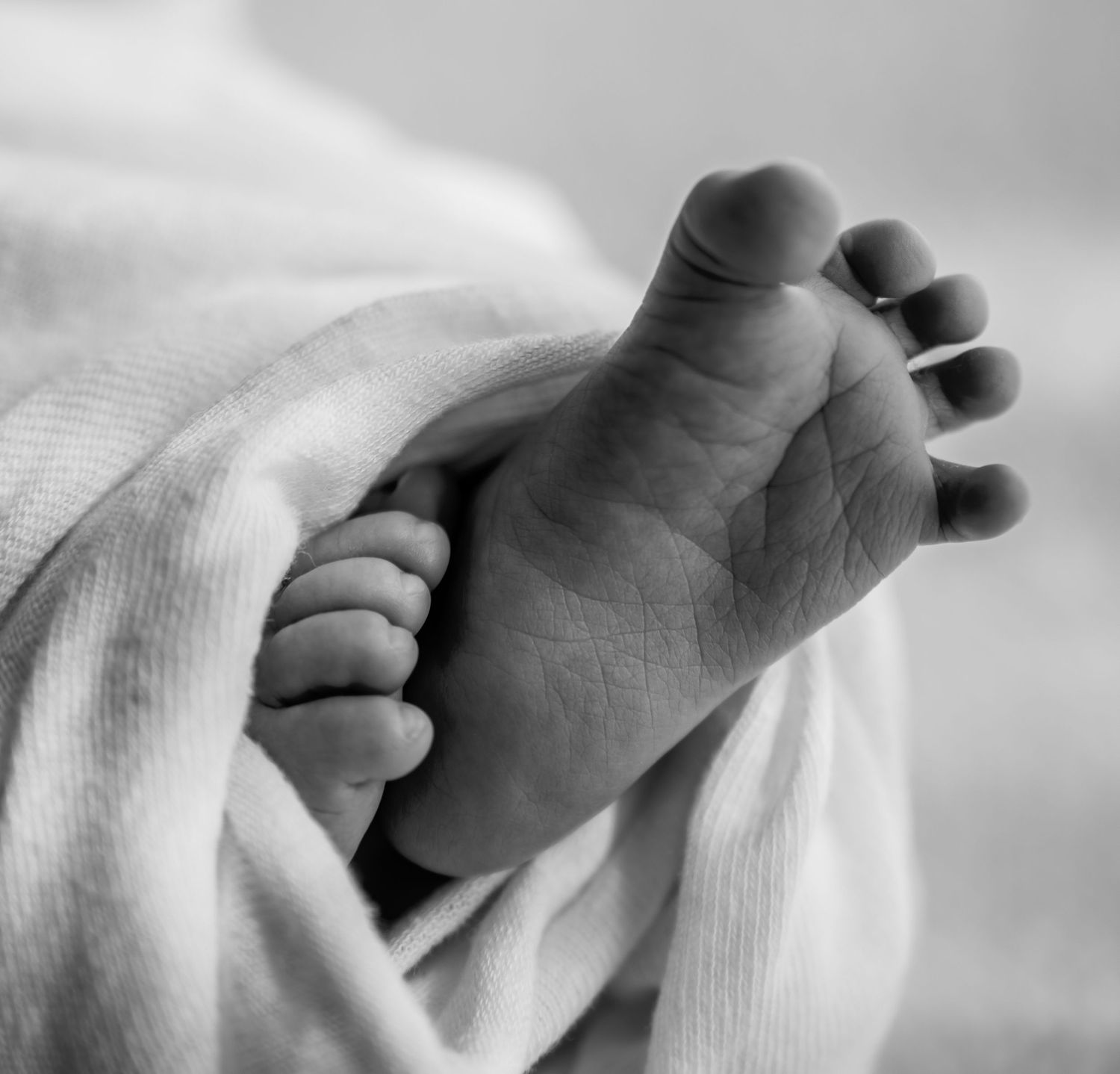 Detailfoto | Carmen Roossien Fotografie