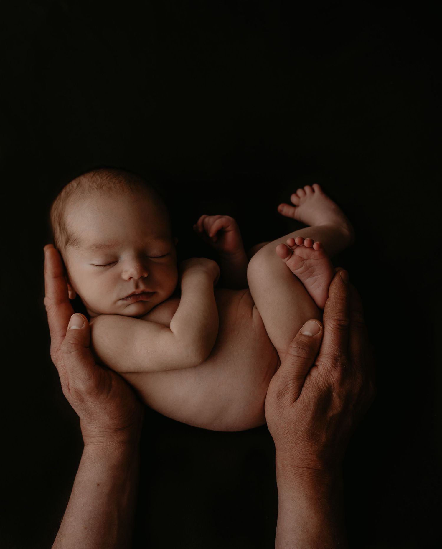 Baby in papa's handen tijden een shoot | Carmen Roossien Fotografie