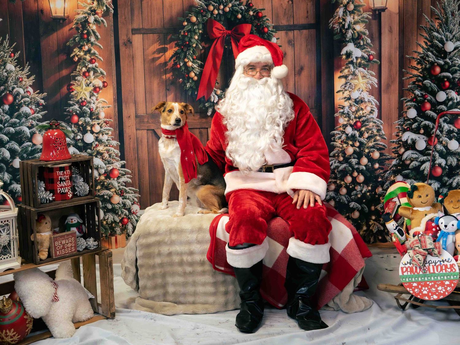 A dog poses with Santa Claus in a festive Christmas photo setting with decorated trees and holiday decor.