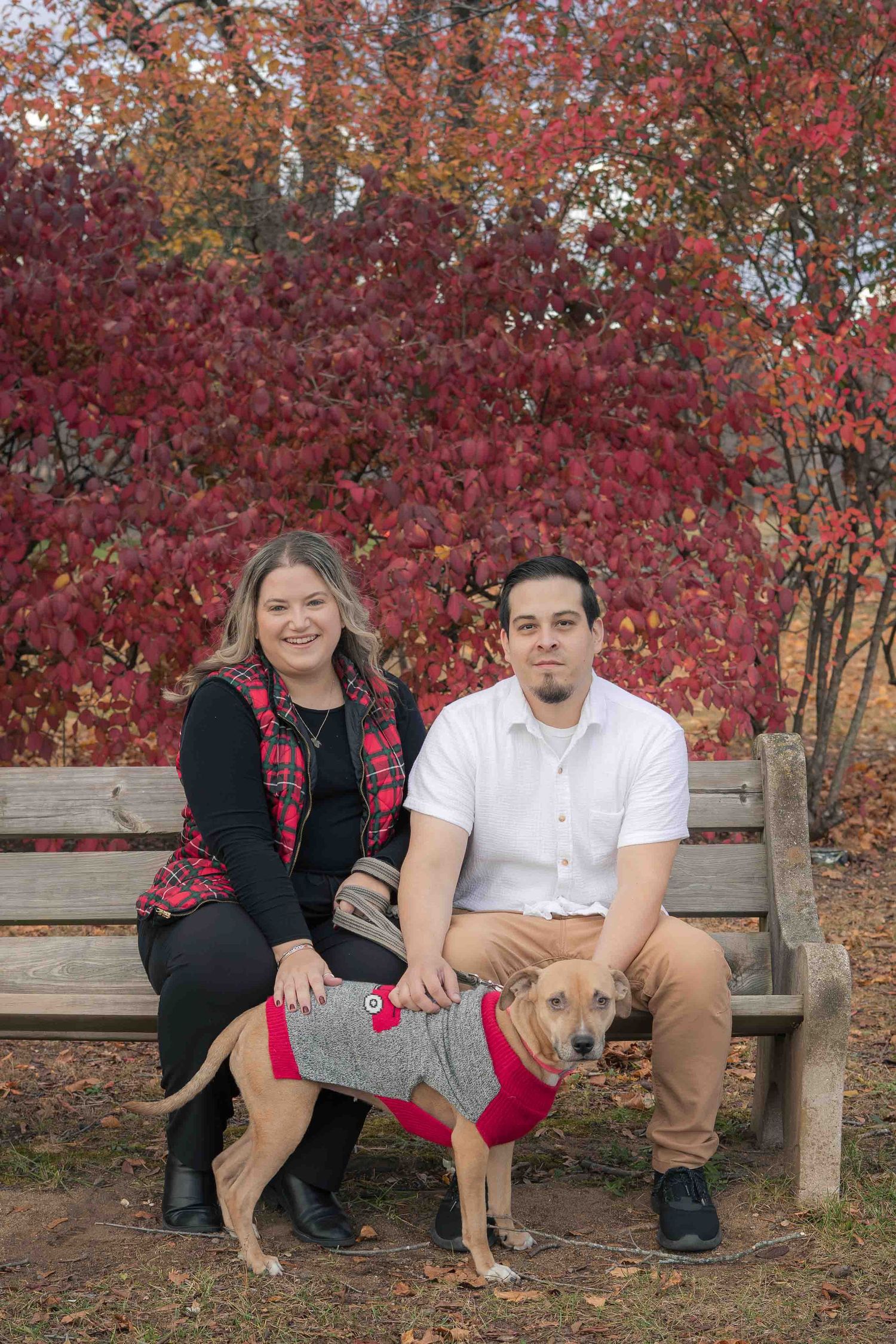 Smiling couple posing with their dog in a gray sweater on a bench with red fall leaves in the background.