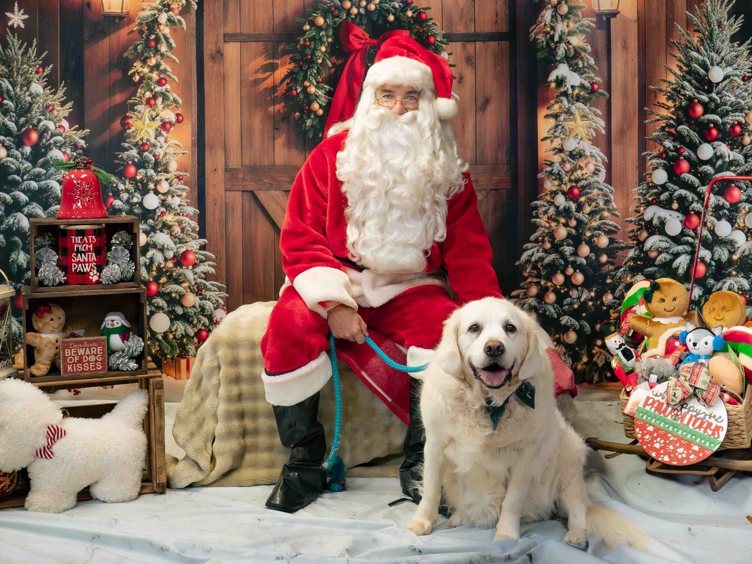 Santa Claus sits with a fluffy white Golden Retriever dog amid festive Christmas trees and holiday decorations.