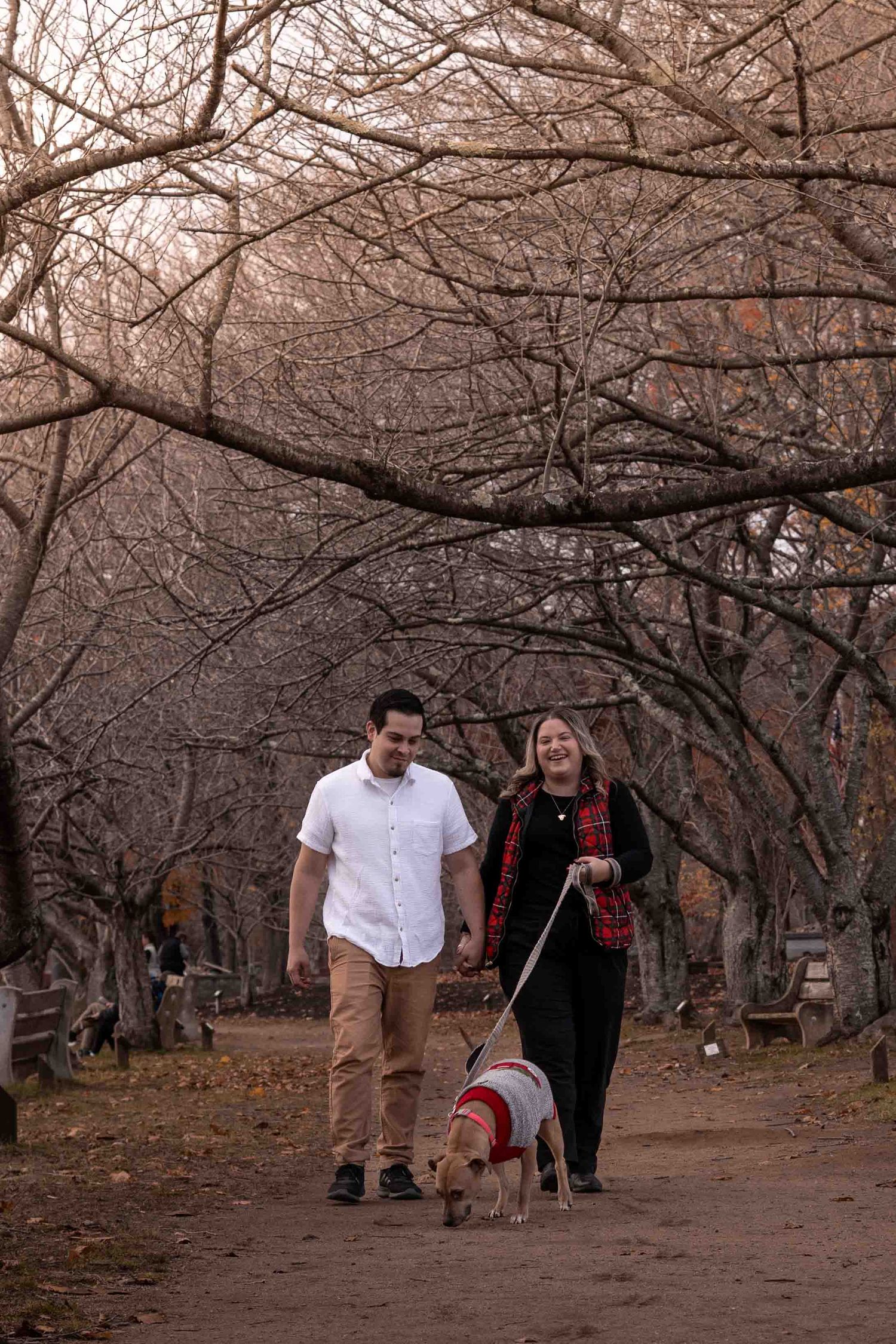 Couple smiling while walking tan dog in red sweater along bare winter tree path.