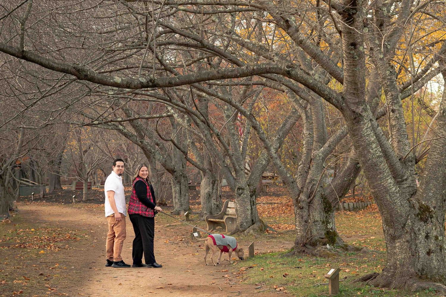 Couple walking tan dog on leash along tree-lined path in autumn park.