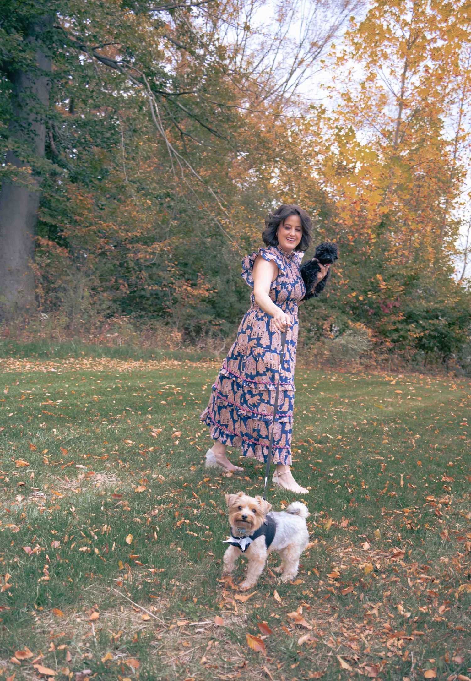 A woman in a floral dress plays with a Yorkshire Terrier and holds a black puppy in a fall park.