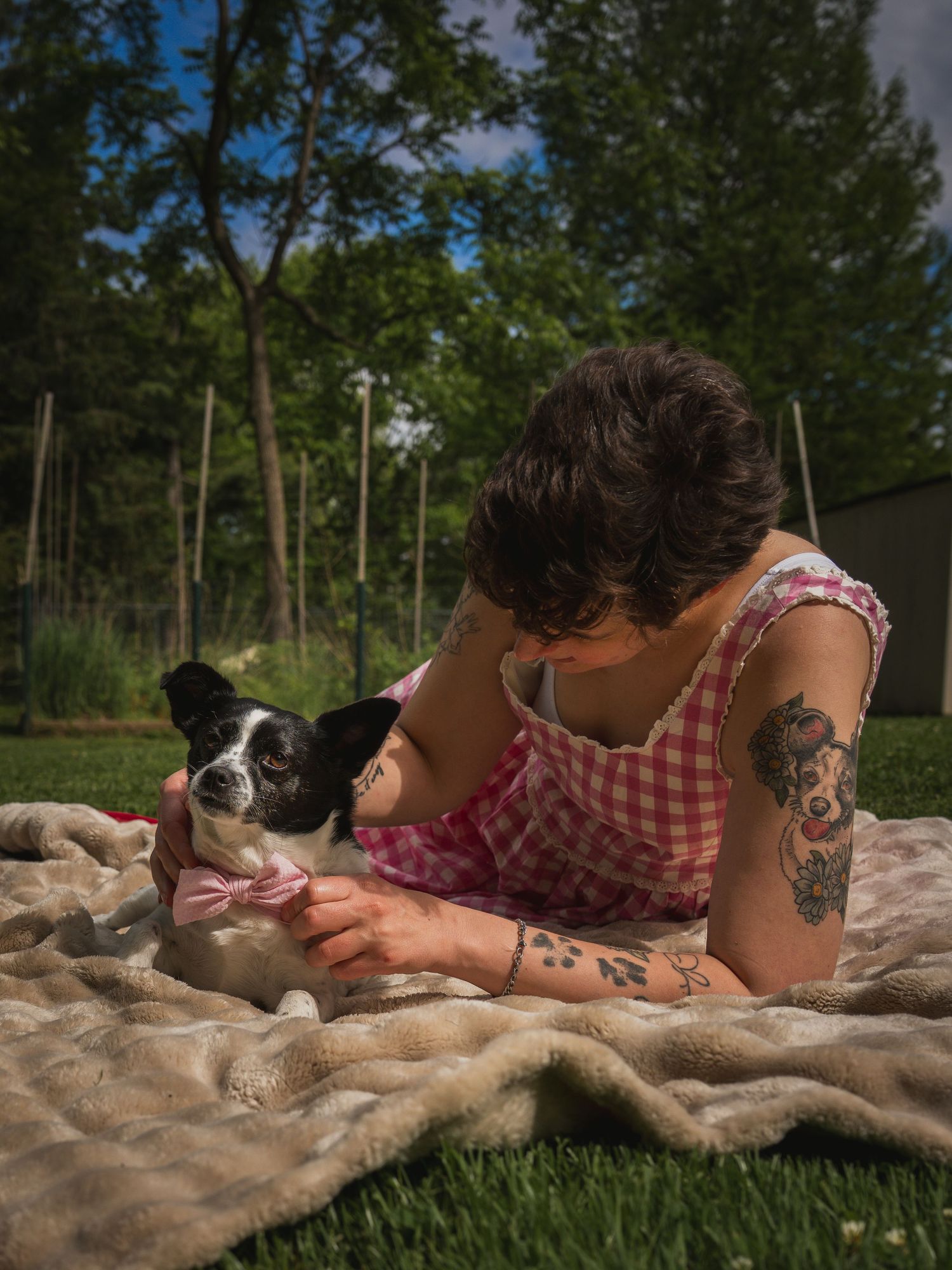 Person with tattoos lying on blanket outdoors, petting a small black and white Boston Terrier puppy wearing a bow tie.