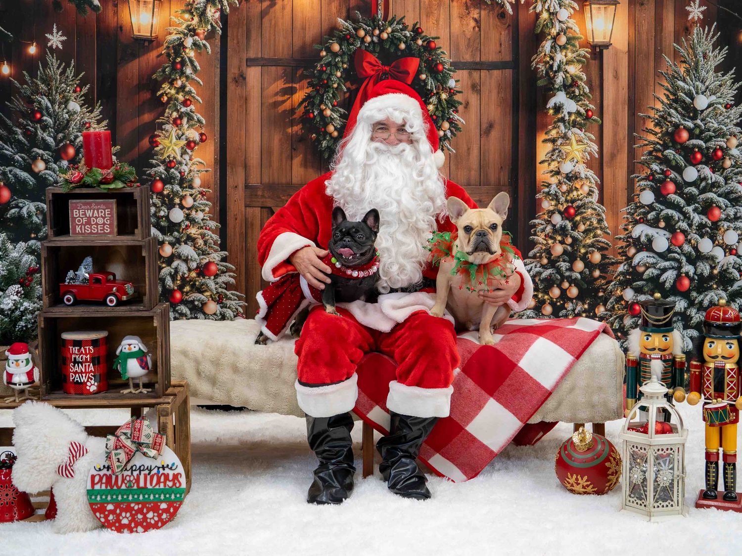 Santa Claus sits with two French Bulldogs surrounded by Christmas trees, nutcrackers, and festive holiday decorations.