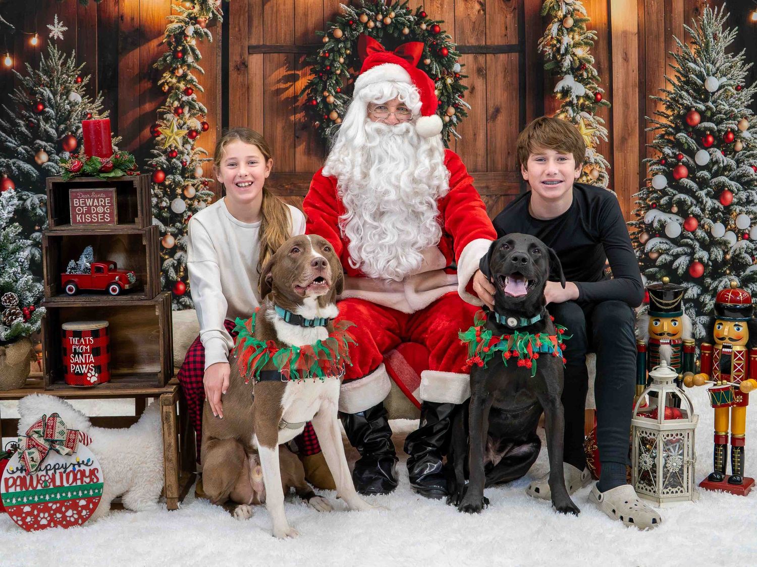 Two children pose with Santa Claus and two dogs dressed in holiday bandanas in a festive Christmas photo.