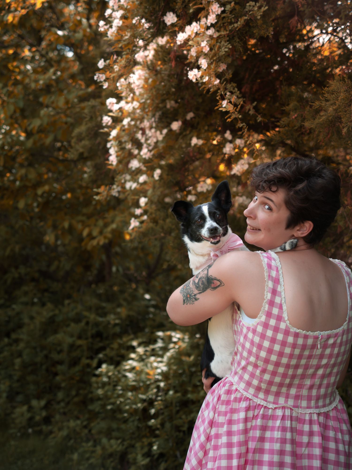 Woman in pink gingham dress holding black and white dog among flowering trees outdoors.