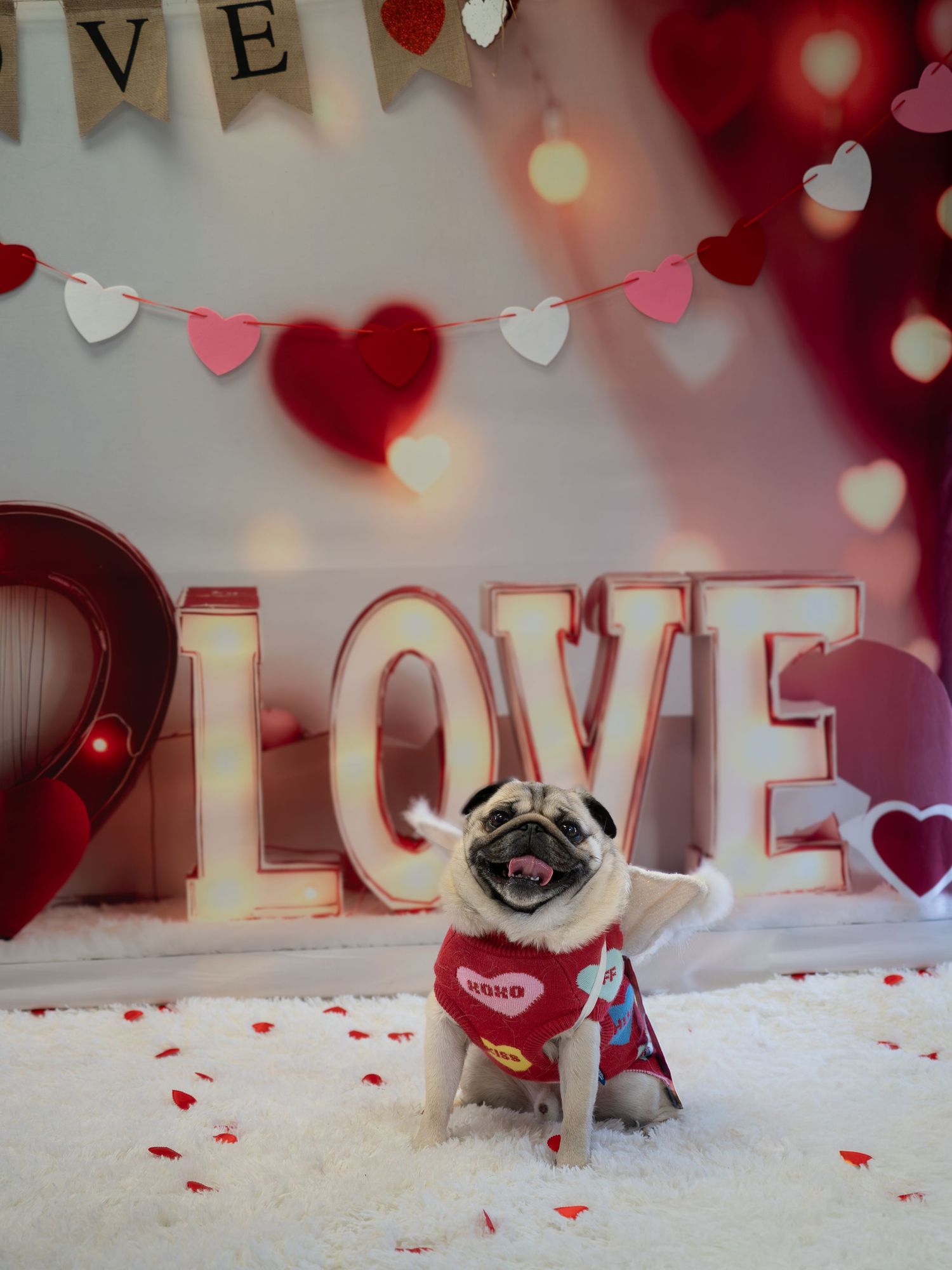 A pug wearing a red Valentine's Day outfit sits in front of a LOVE sign with heart decorations and bokeh lights.