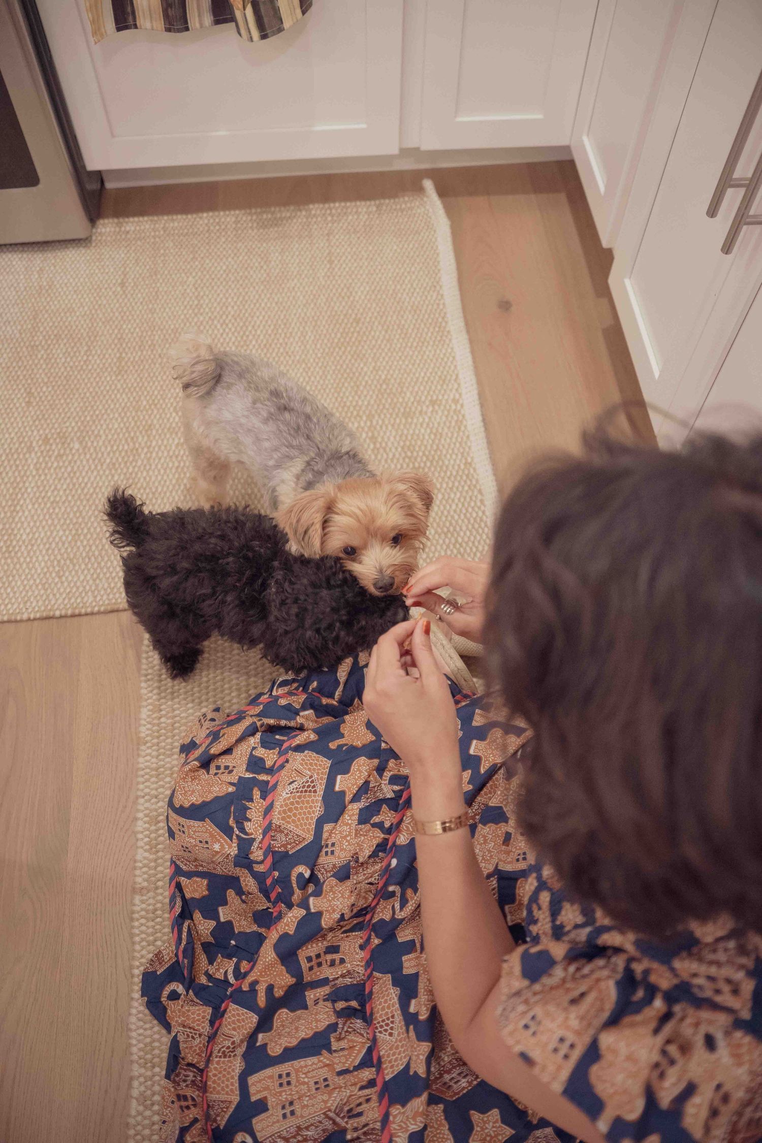 Overhead view of woman in patterned dress feeding two small dogs on kitchen floor.