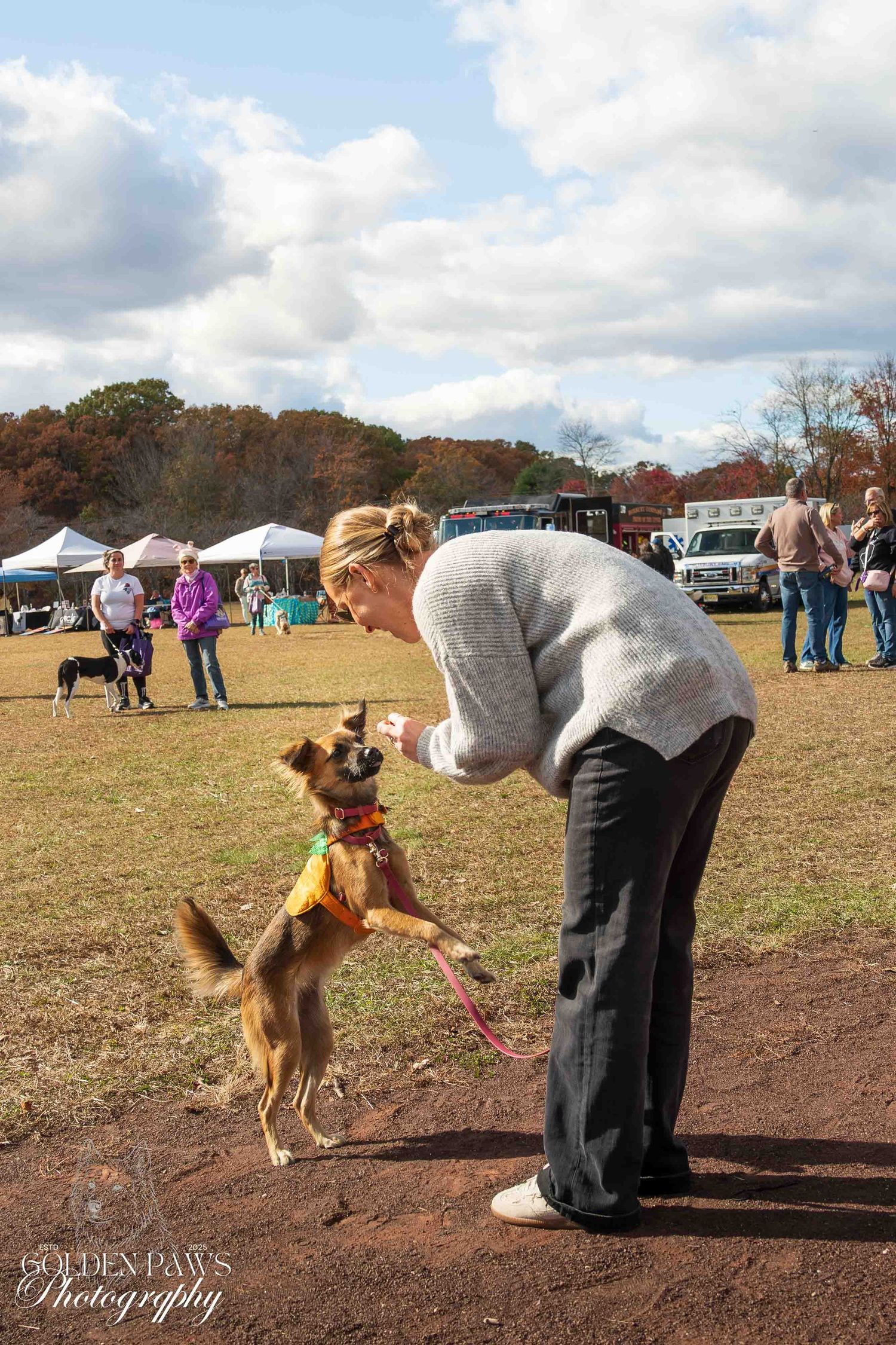 Woman in gray sweater training a small brown dog on a leash at an outdoor autumn dog event.